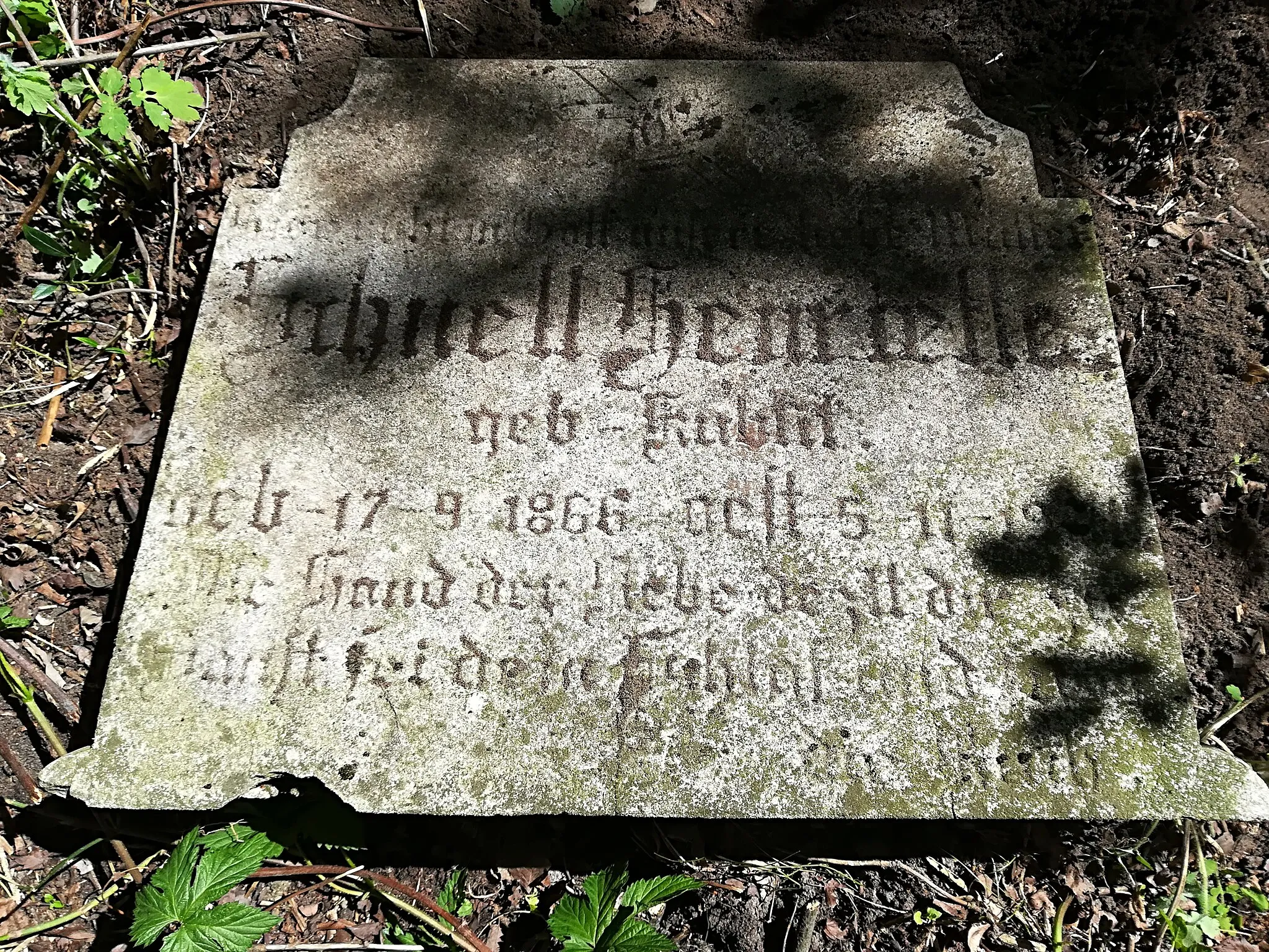 Photo showing: Evangelical cementery in Leszno near Grabów