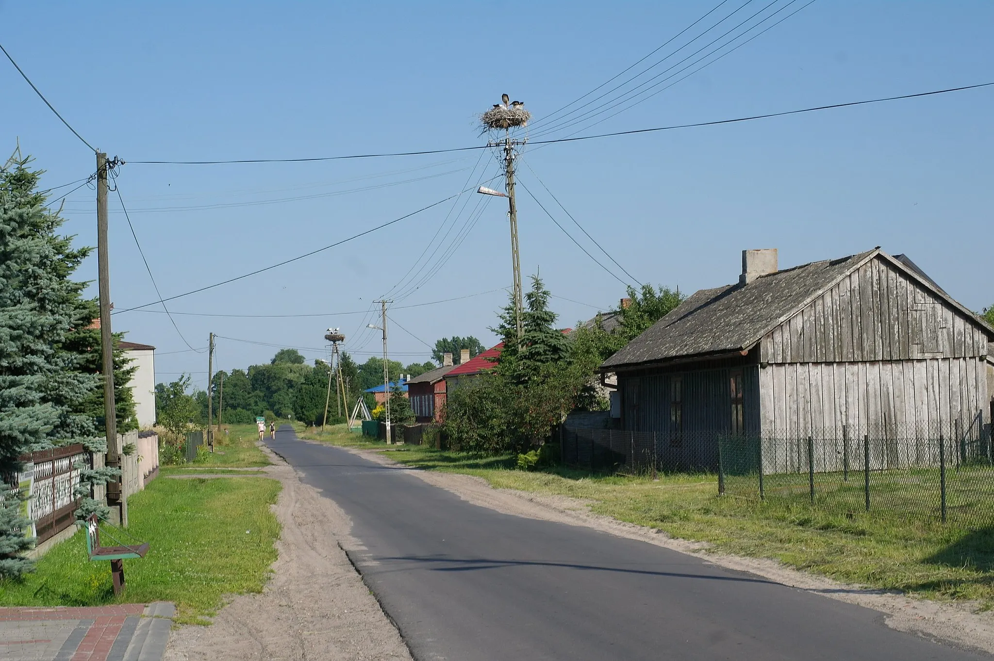 Photo showing: Gniazdo bociana białego w miejscowości Zamość