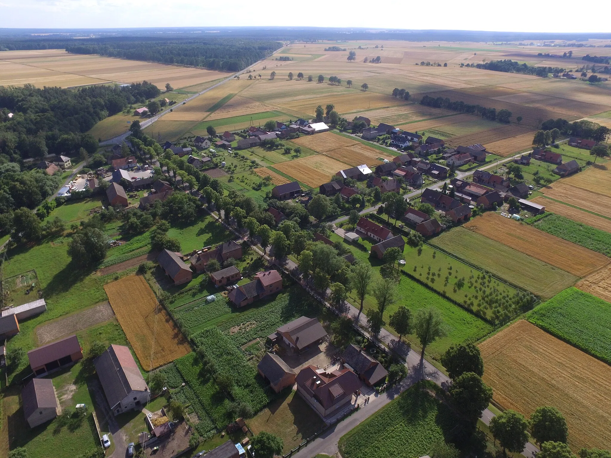 Photo showing: Widok na osiedle (siedlung) w południowej częście Bodzanowic.