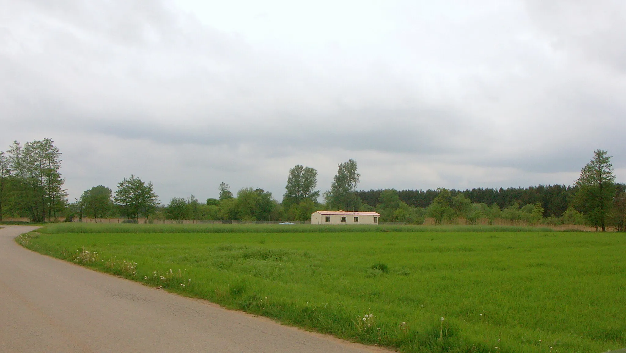 Photo showing: Droga do Tomczyc w Ulaskach Stamirowskich