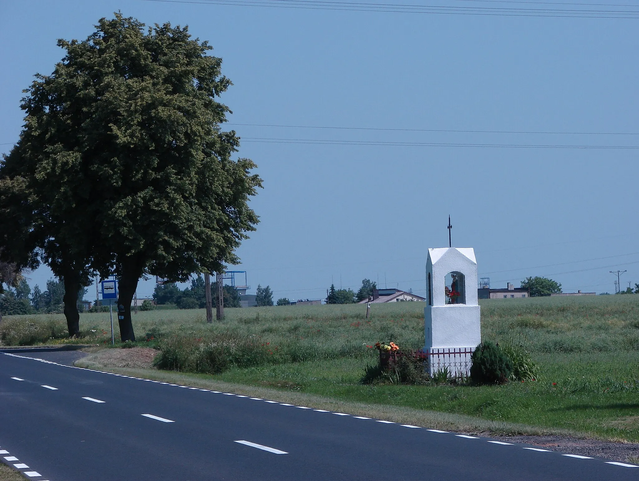 Photo showing: Bierzwienna Długa, Gmina Kłodawa, wayside shrine