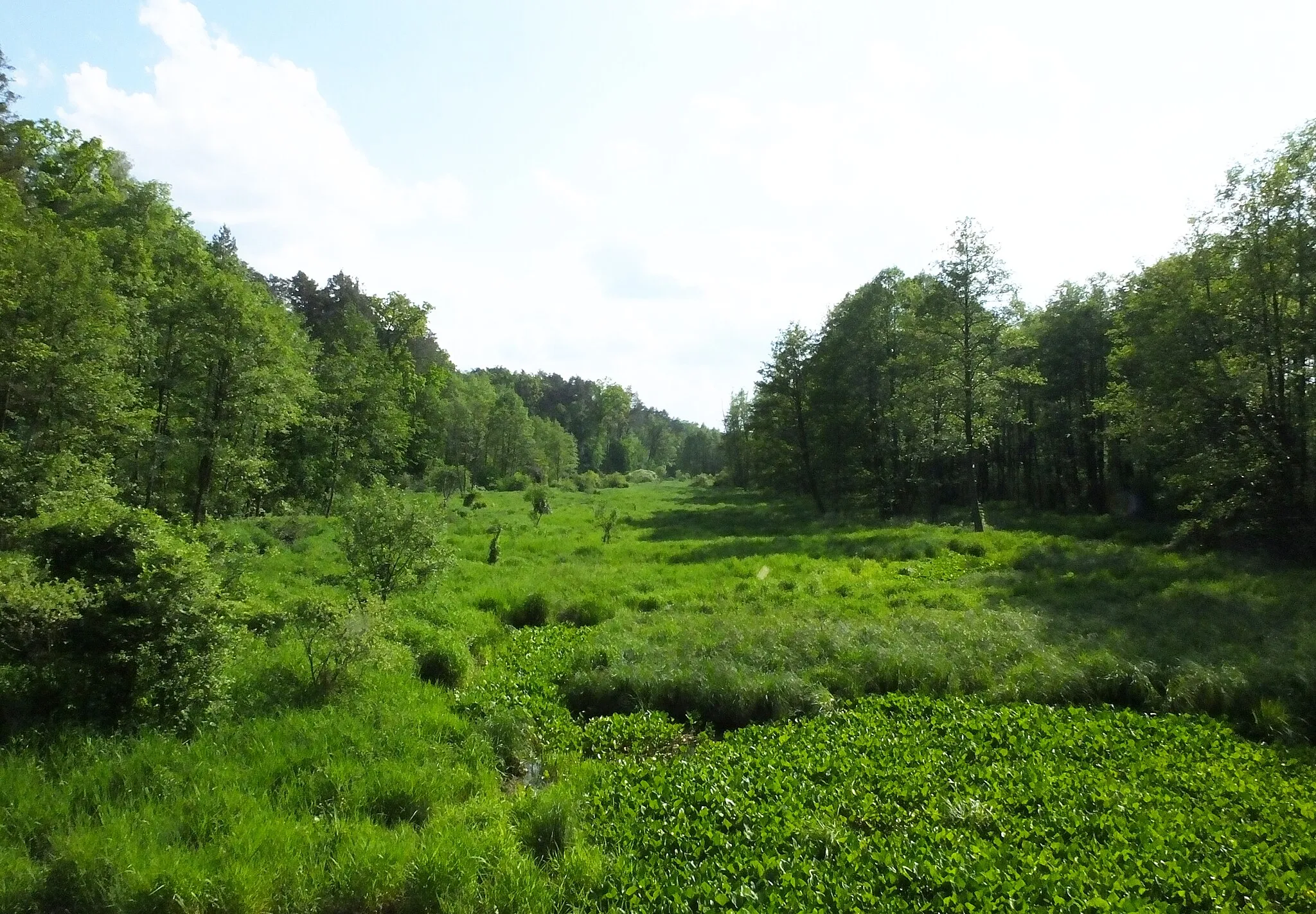 Photo showing: This is a photography of protected area with CRFOP ID