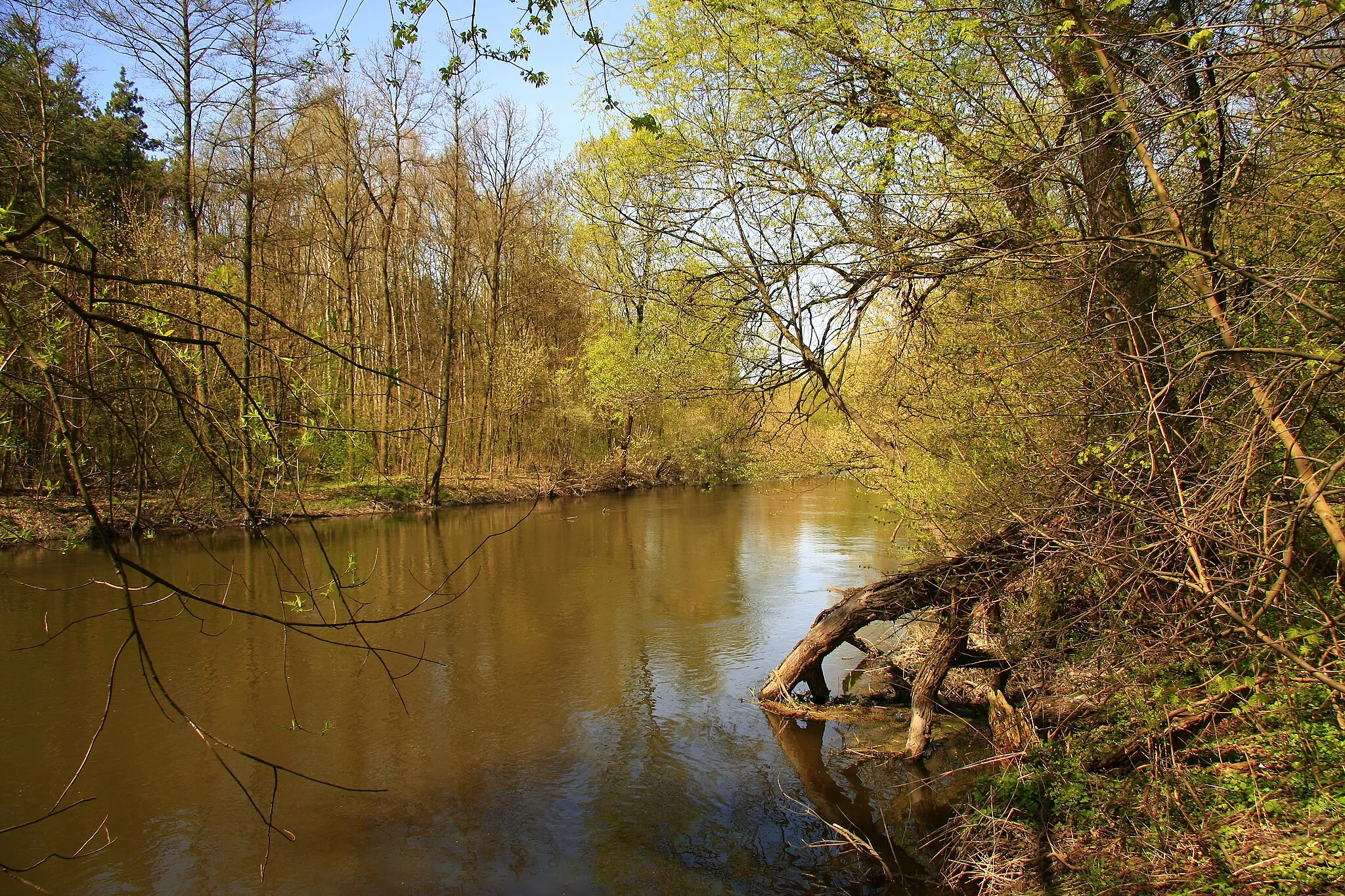 Photo showing: Dolina rzeki Wieprz, od Ciechanek do Witaniowa (zabytek nr rejestr. A/864 z 12.09.1983)