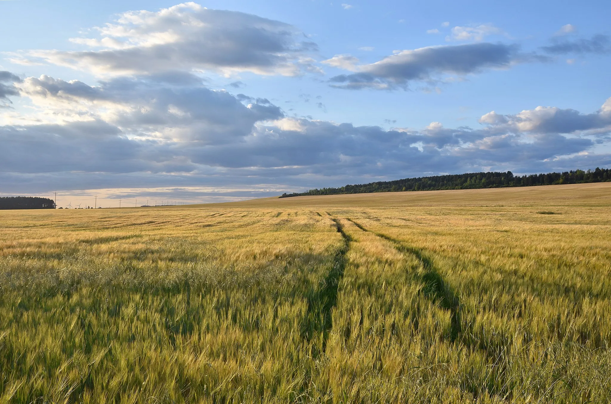 Photo showing: wieś Ruda Żurawiecka