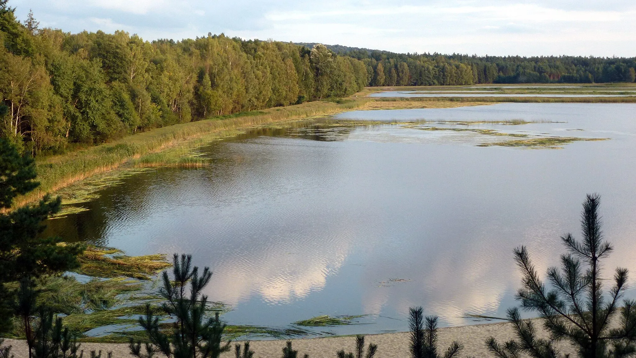 Photo showing: Stawy Echo, Roztoczański Park Narodowy