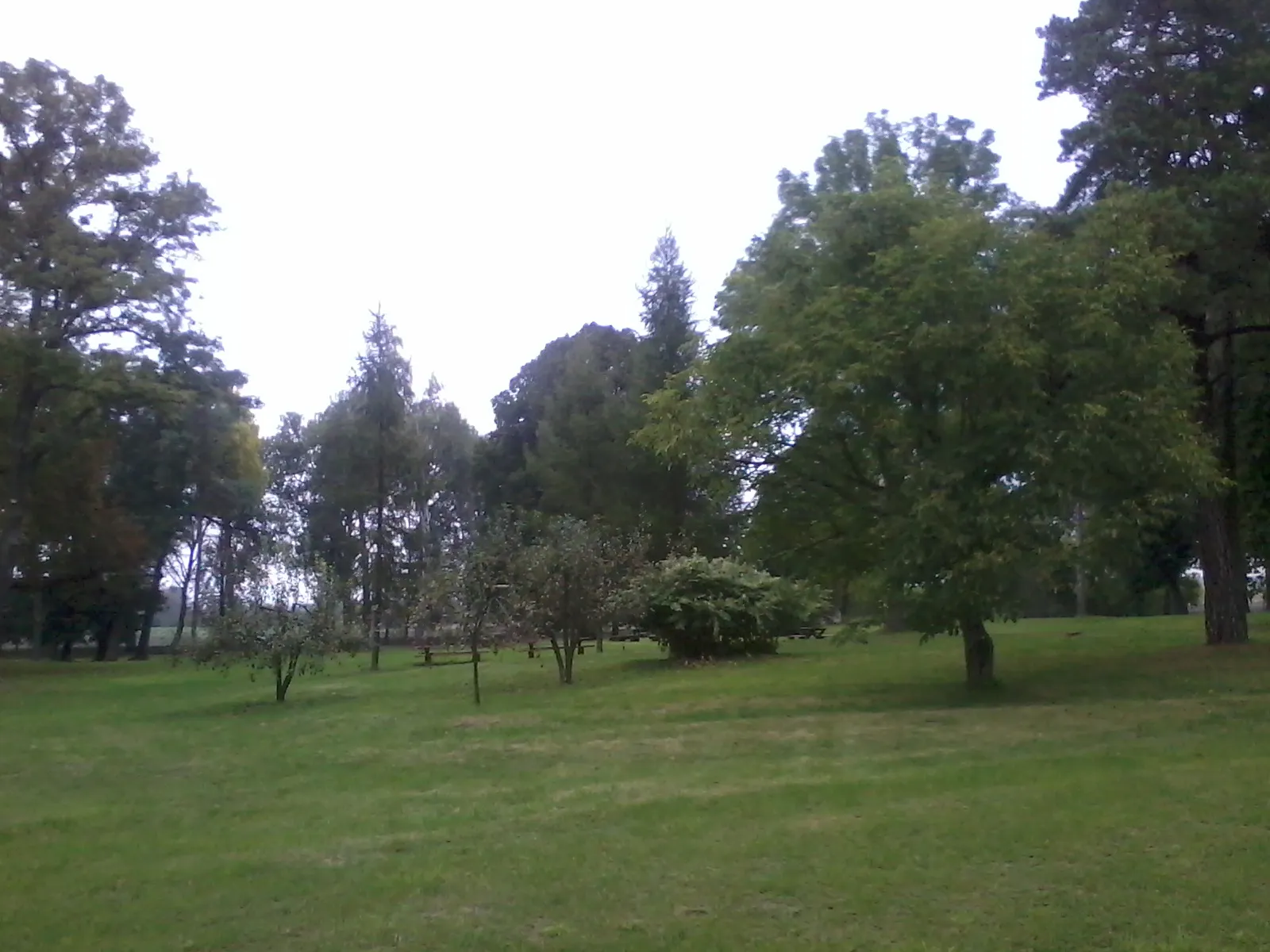 Photo showing: Depułtycze Nowe - Park near Center of International Cooperation - The State School of Higher Education in Chełm (Poland)