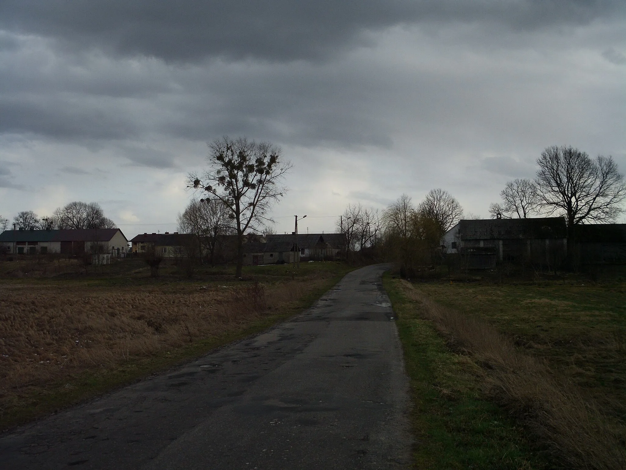 Photo showing: Residential houses in Bzite, Poland, as seen from a road to Żulin