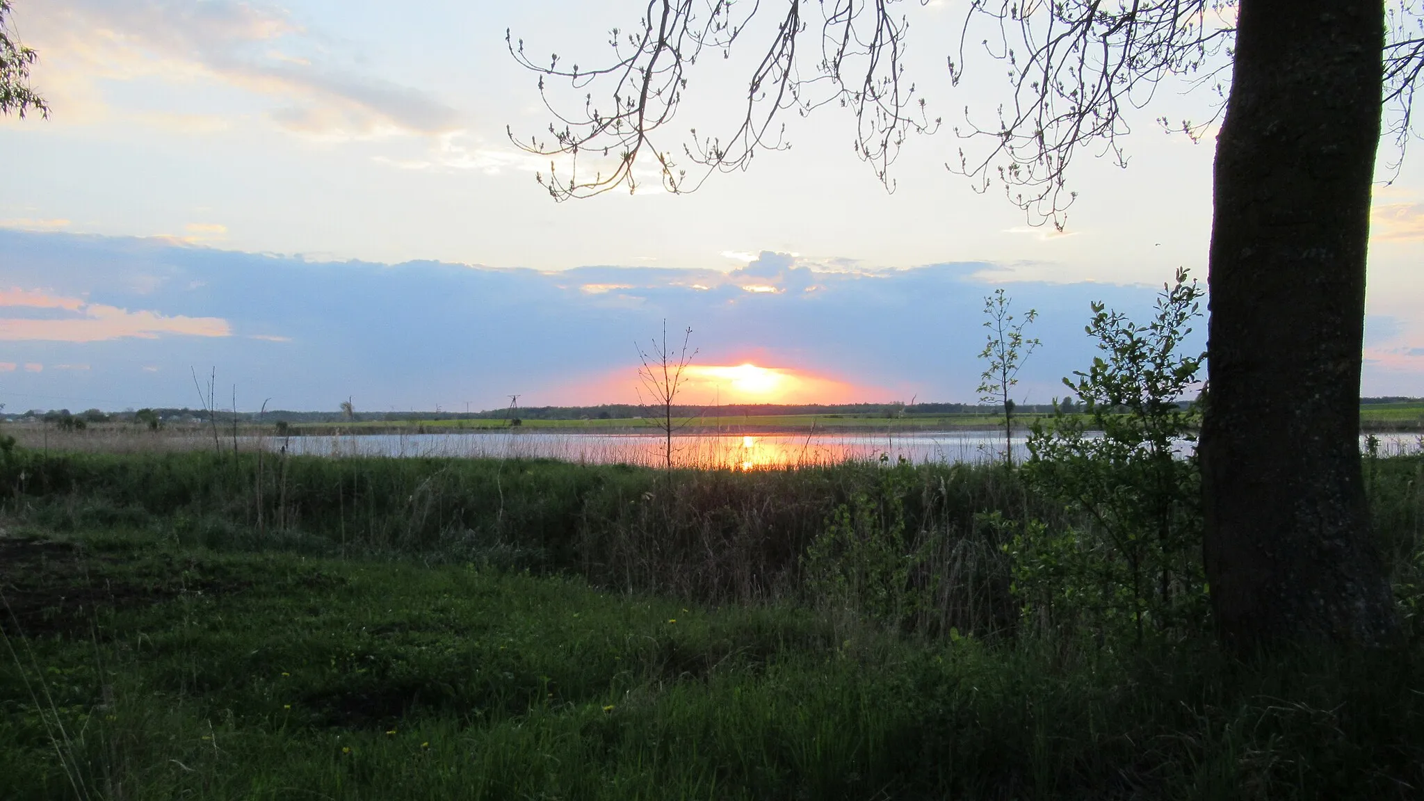 Photo showing: Zachód słońca nad stawem niedaleko dworku w Cieleśnicy (pow. bialski, woj. lubelskie, Polska).