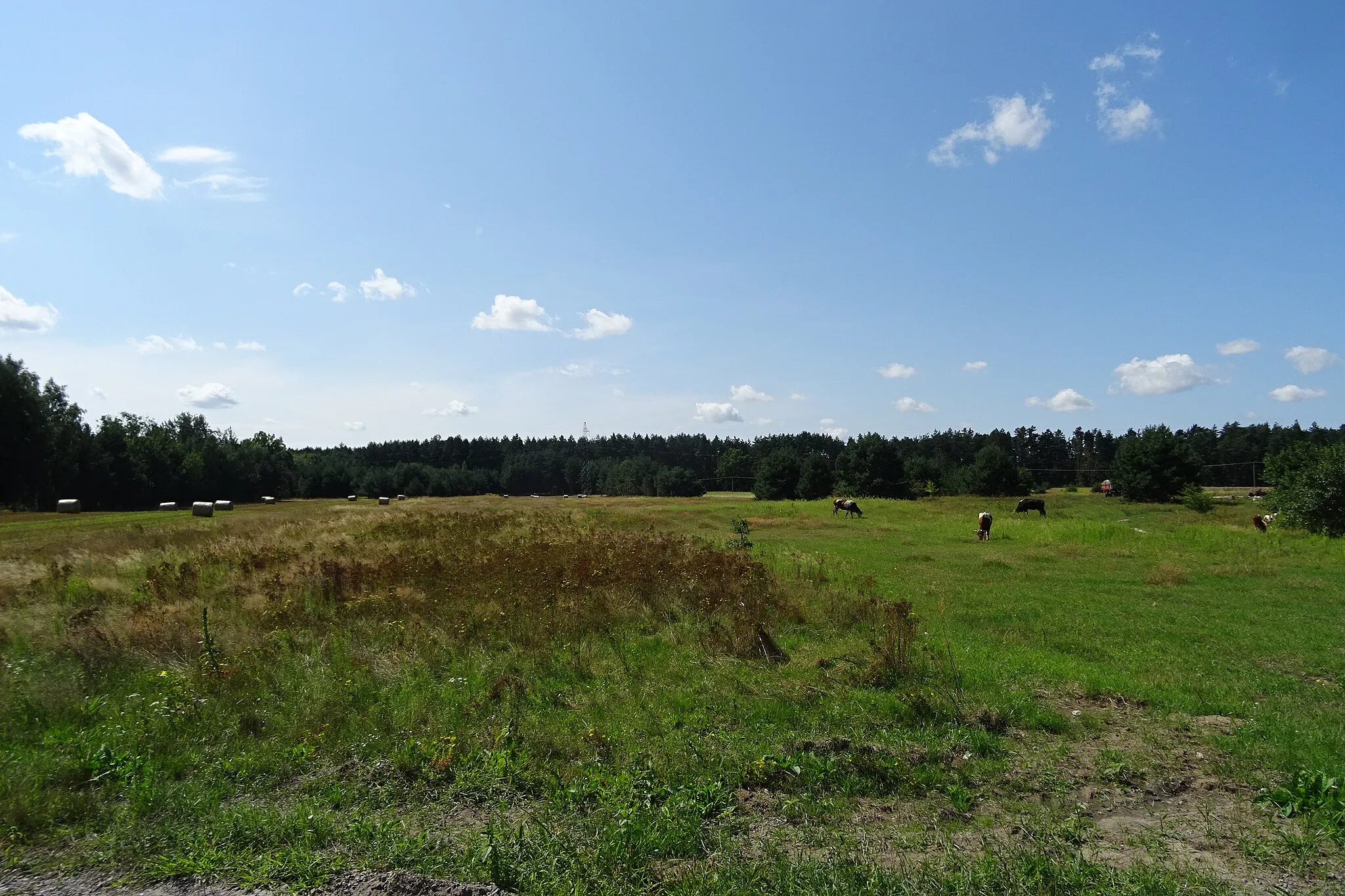 Photo showing: Wieś Ewopole, gmina Trawniki, województwo lubelskie