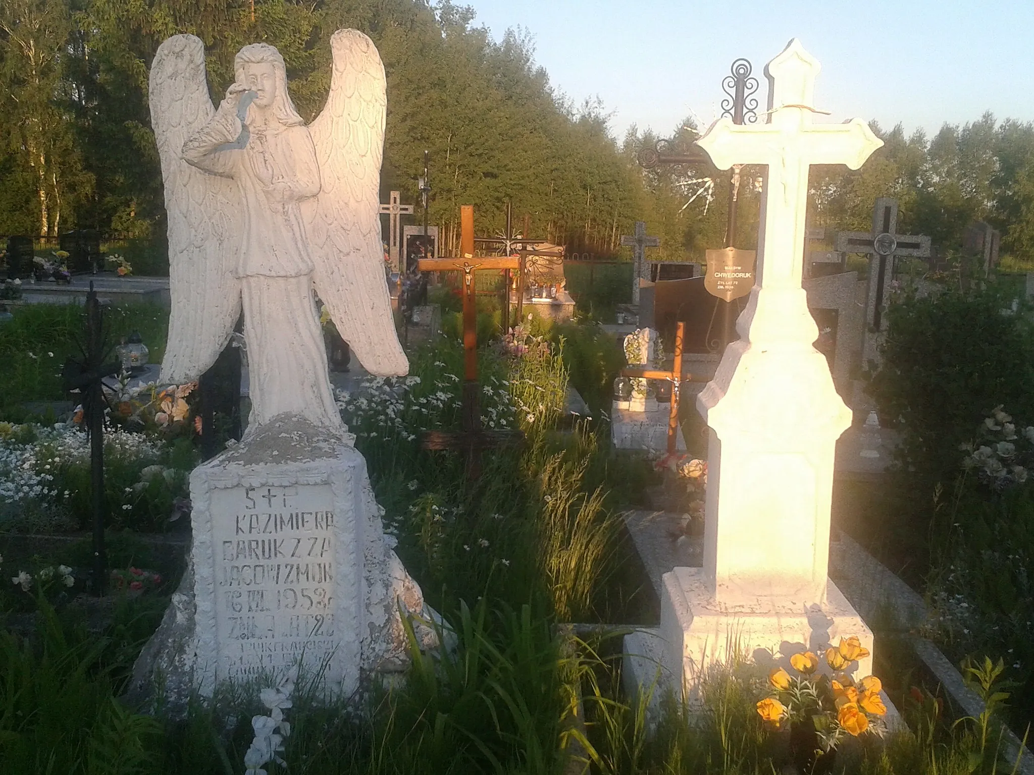 Photo showing: Cmentarz w Hrudzie