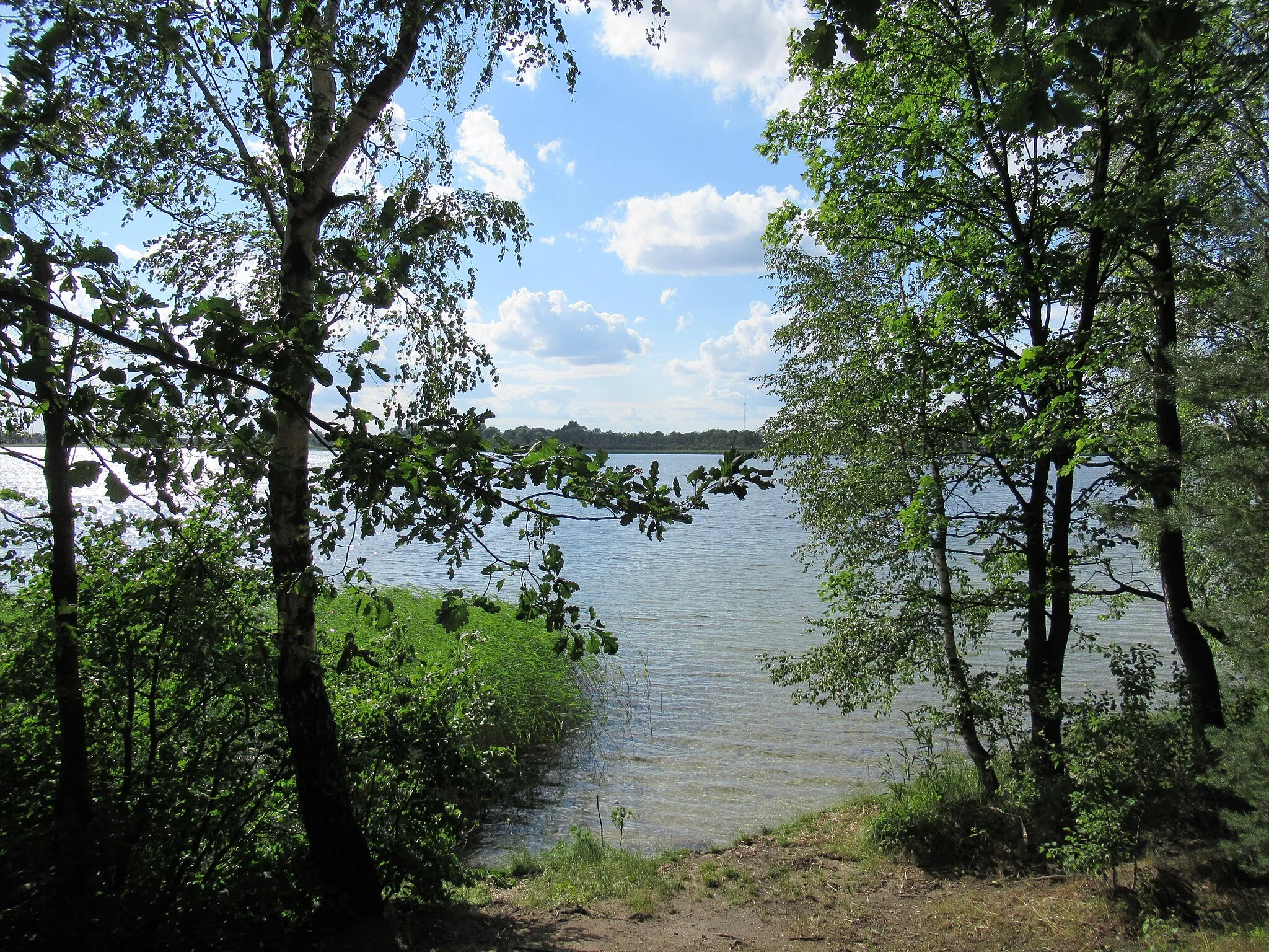Photo showing: Jezioro Krasne (powiat lubartowski, woj. lubelskie, Polska).