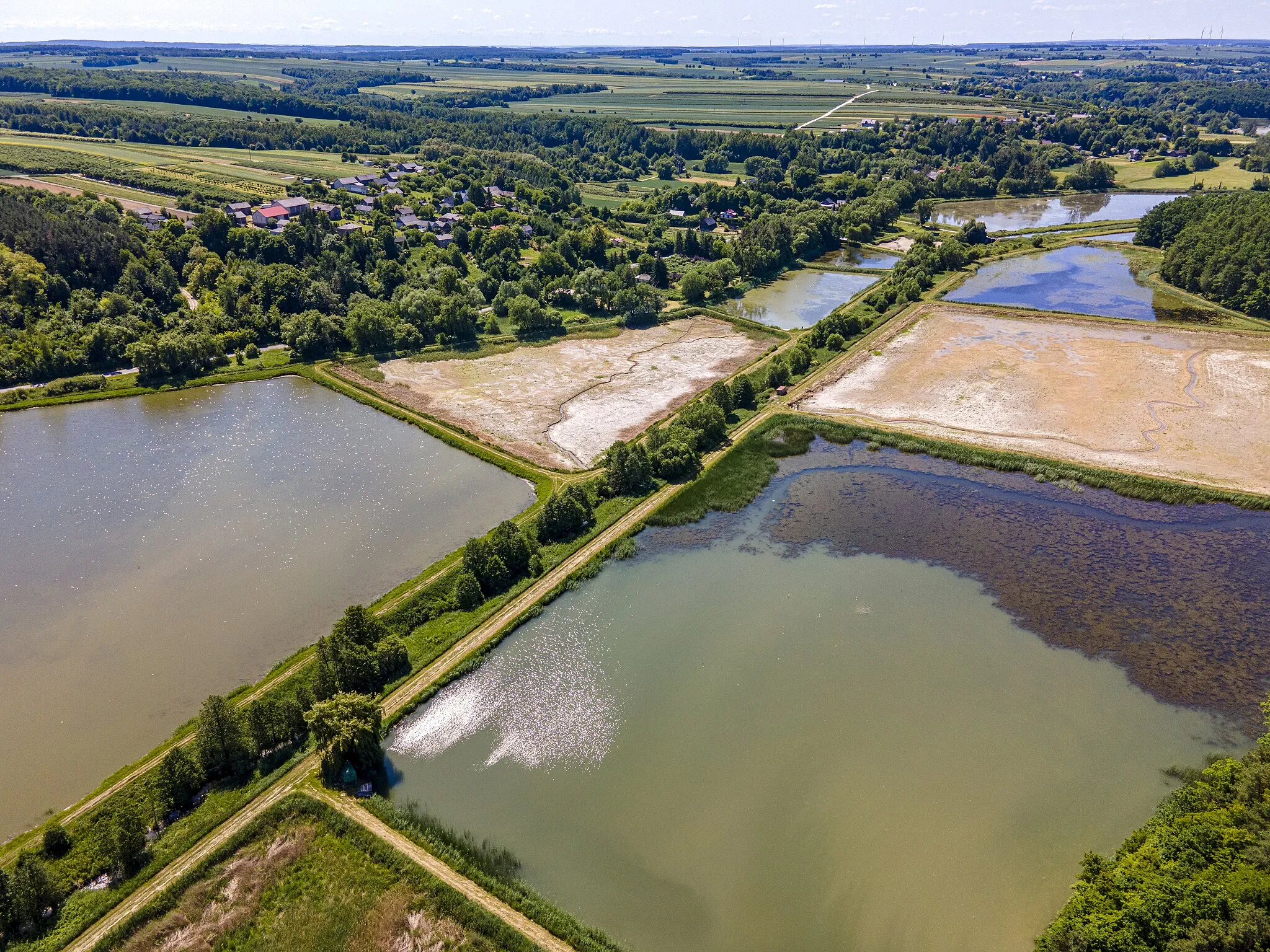 Photo showing: Stawy rybne w Pilaszkowicach Pierwszych.