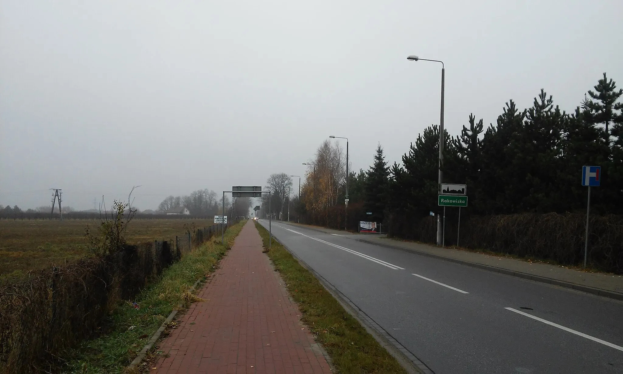 Photo showing: Widok ogólny wsi Rakowiska od strony wjazdu ul. Terebelską z Białej Podlaskiej