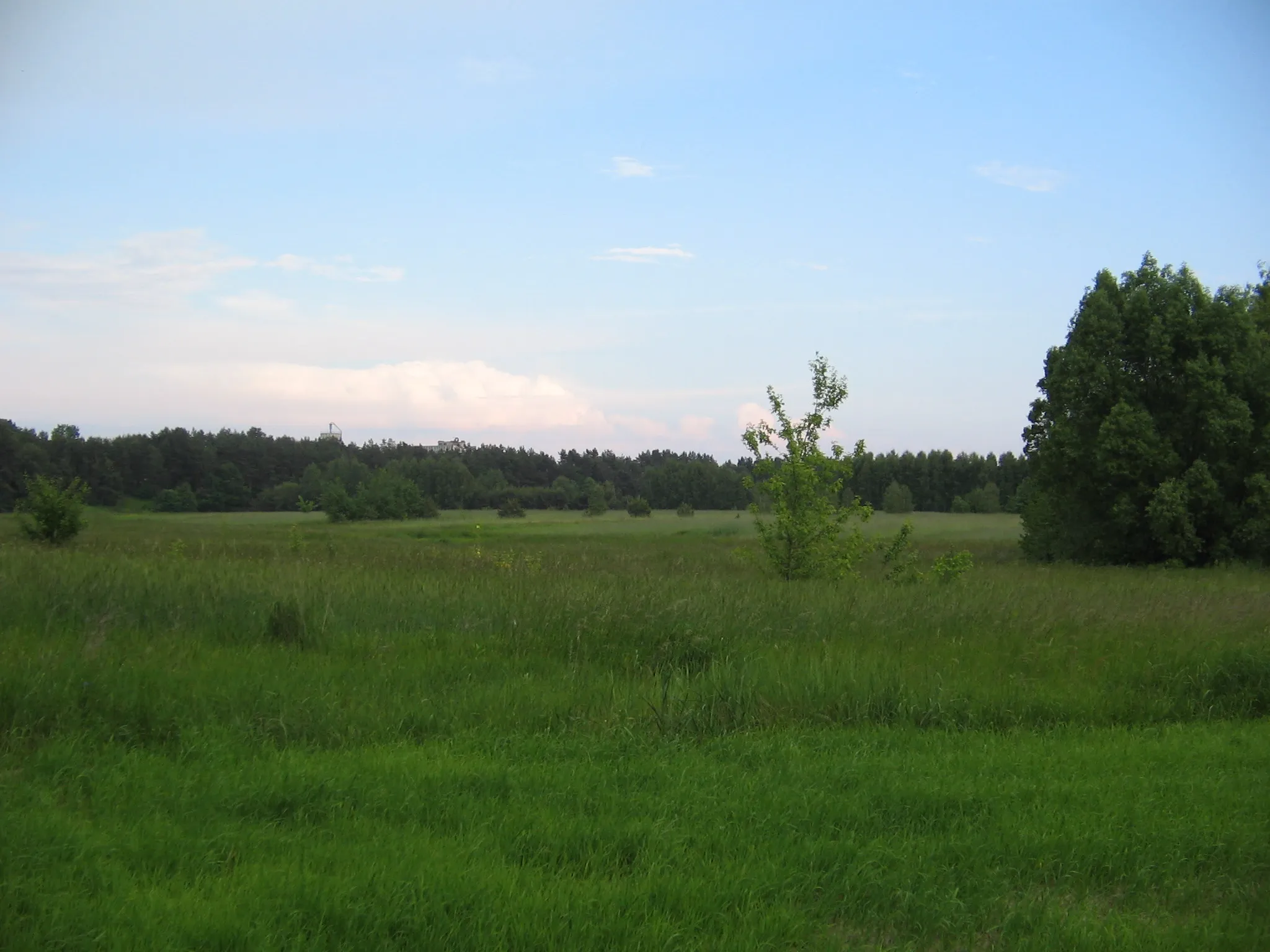 Photo showing: Lubartów, Poland