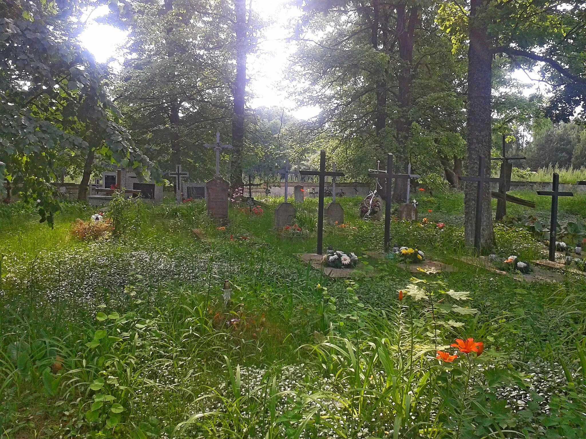 Photo showing: Cmentarz prawosławny w Sycynie