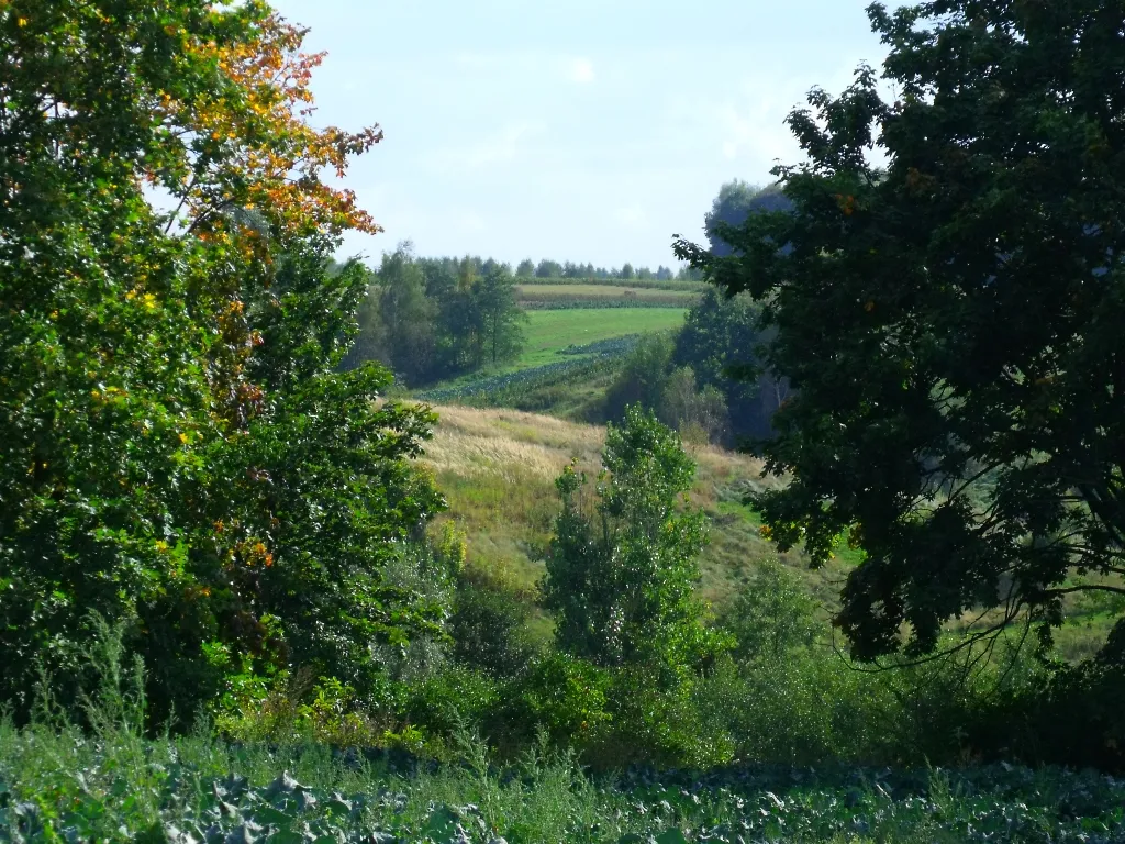 Photo showing: Kazimierski Park Krajobrazowy , Stok