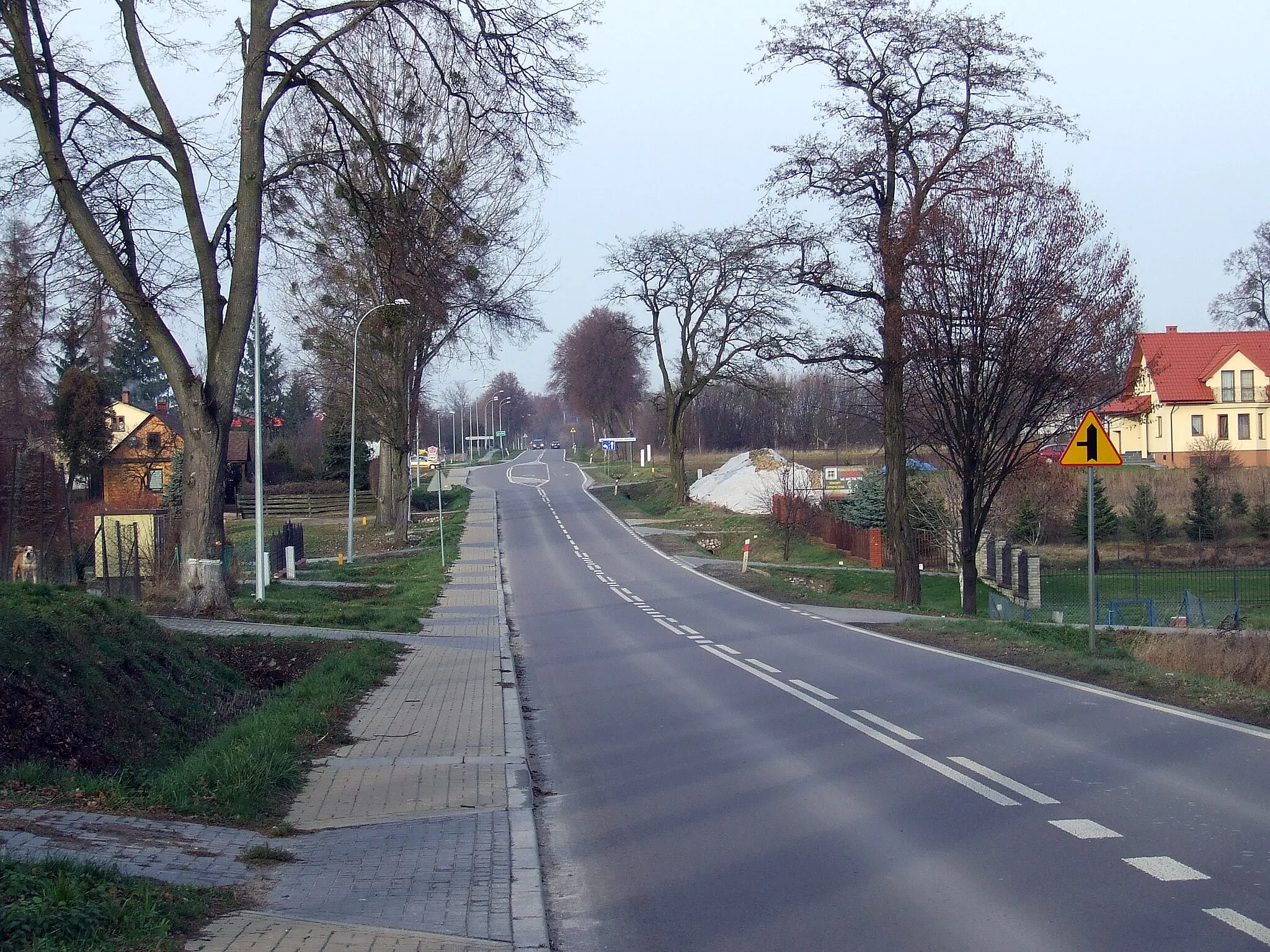 Photo showing: Strzelce w gminie Nałeczów - droga wojewódzka nr 826