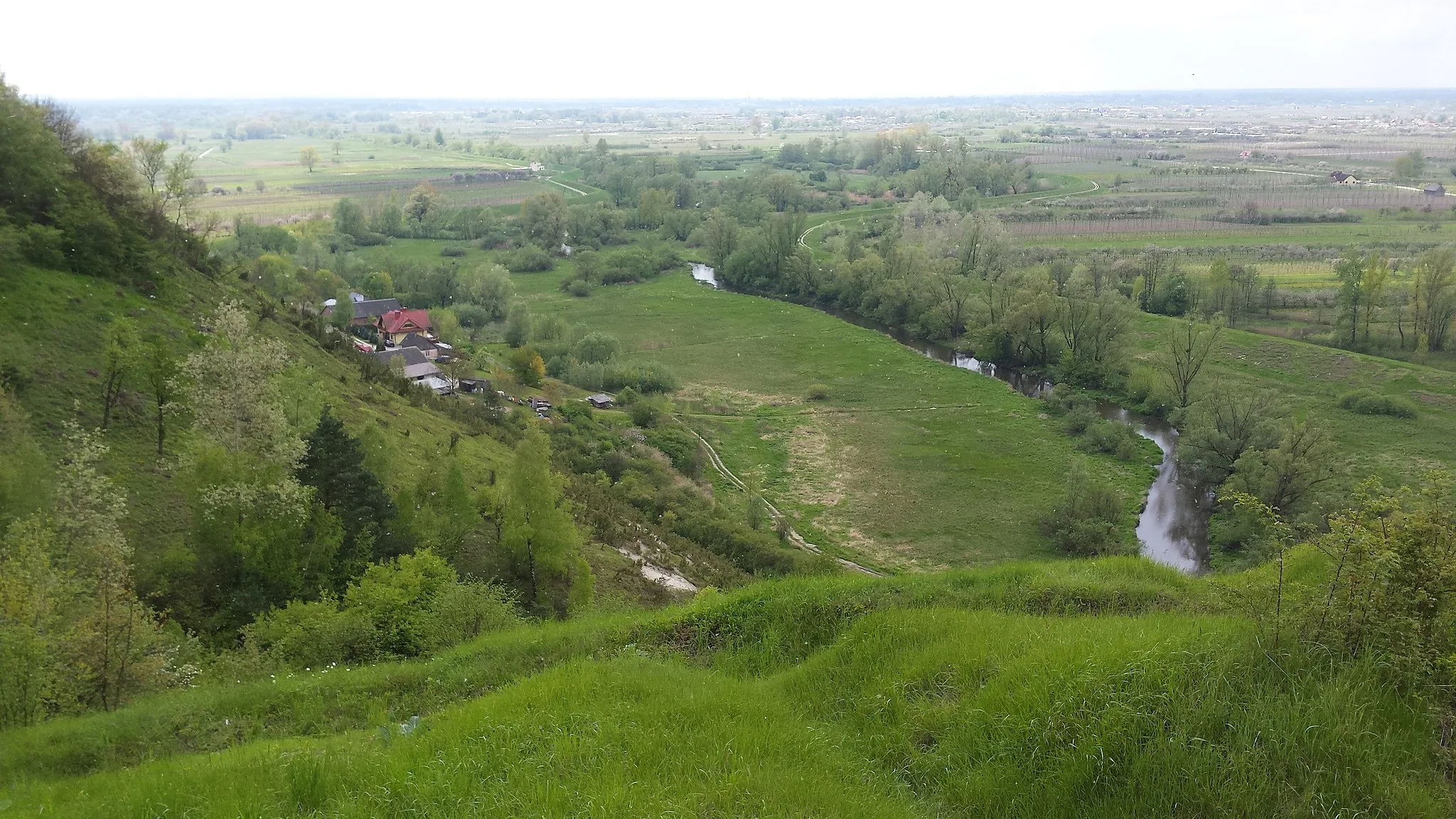 Photo showing: Skarpa Dobrska nature reserve in Dobre, Poland. View from the top.