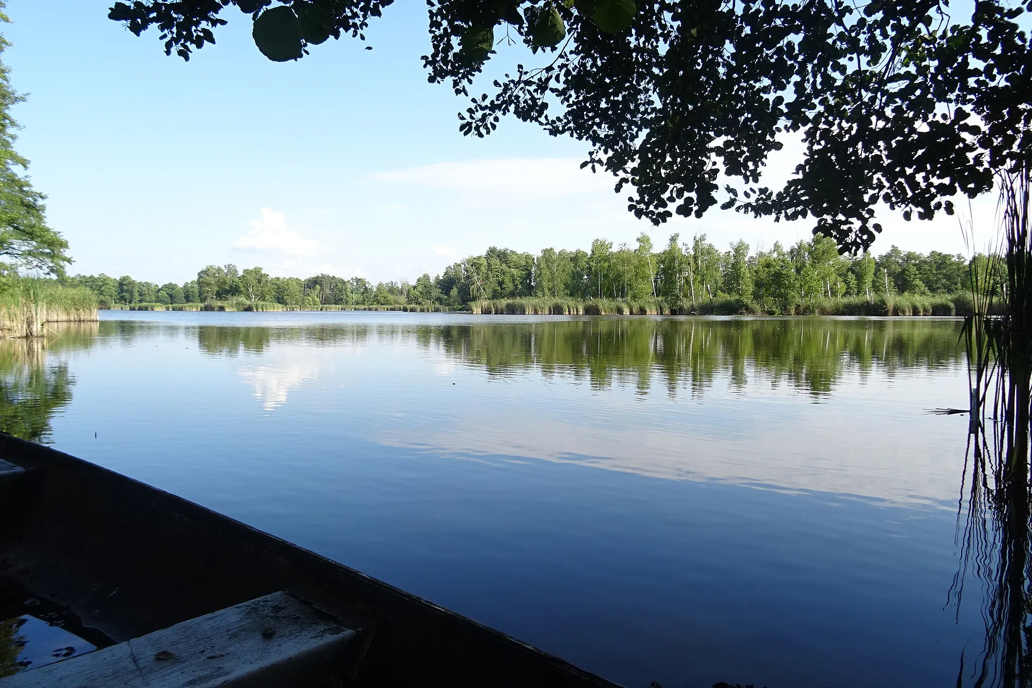 Photo showing: Jezioro Orlicz (Rejowiec), gmina Garbów, Obszar Chronionego Krajobrazu Kozi Bór