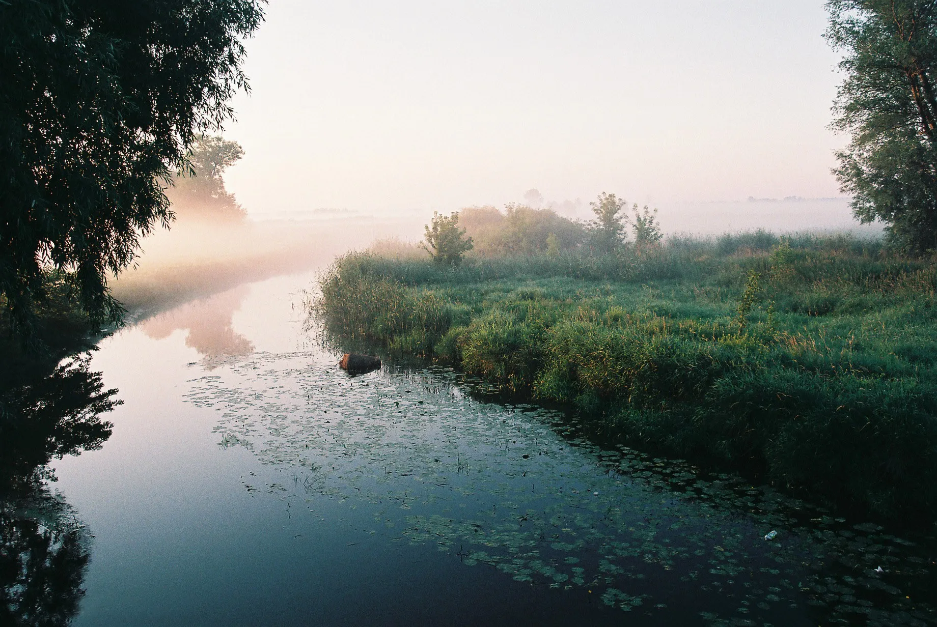 Photo showing: Dolina rzeki Tyśmienicy w okolicy wsi Niewęgłosz.