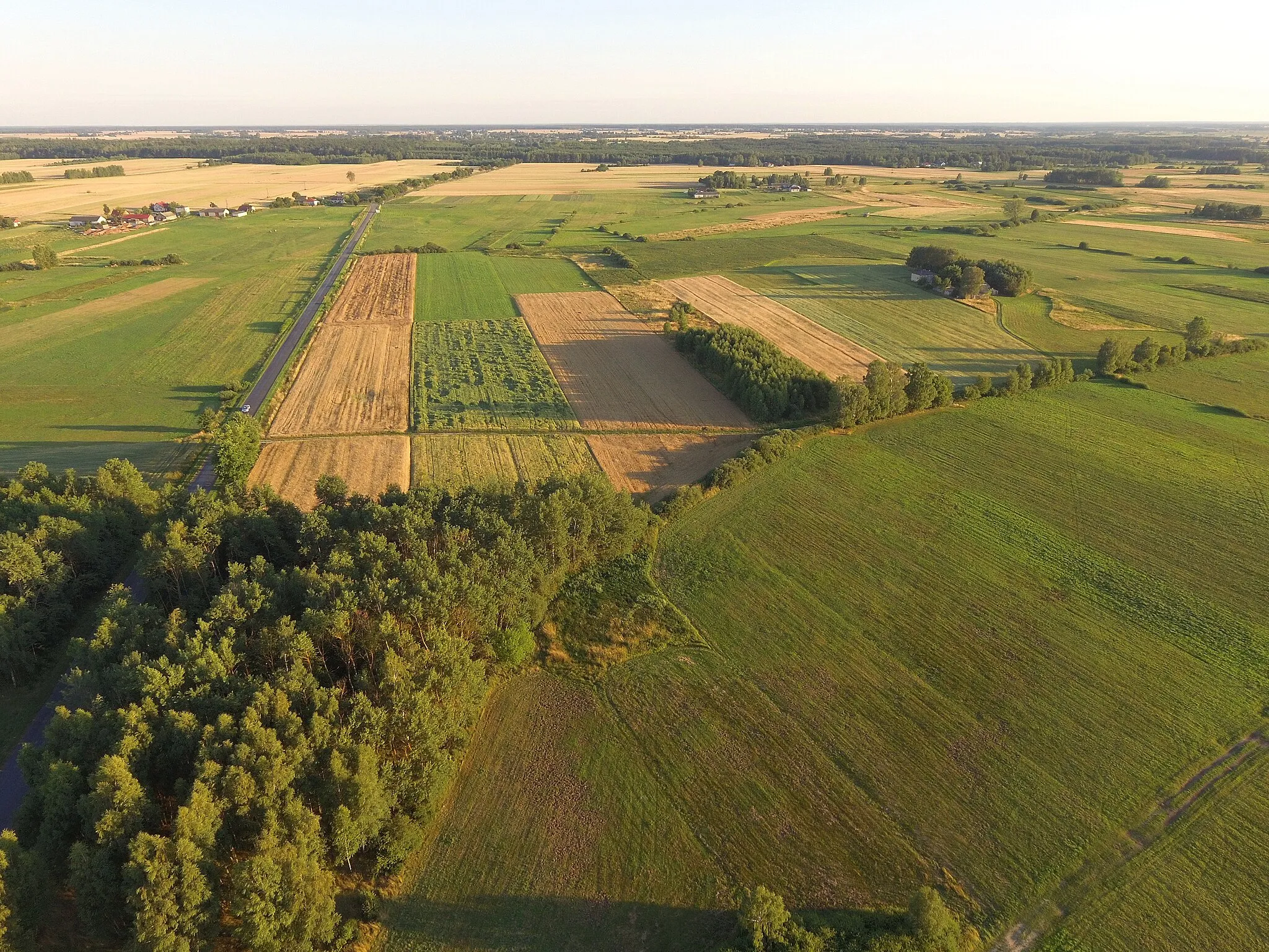 Photo showing: Niewęgłosz charakterystyczne łąki w dolinie Tyśmienicy.
