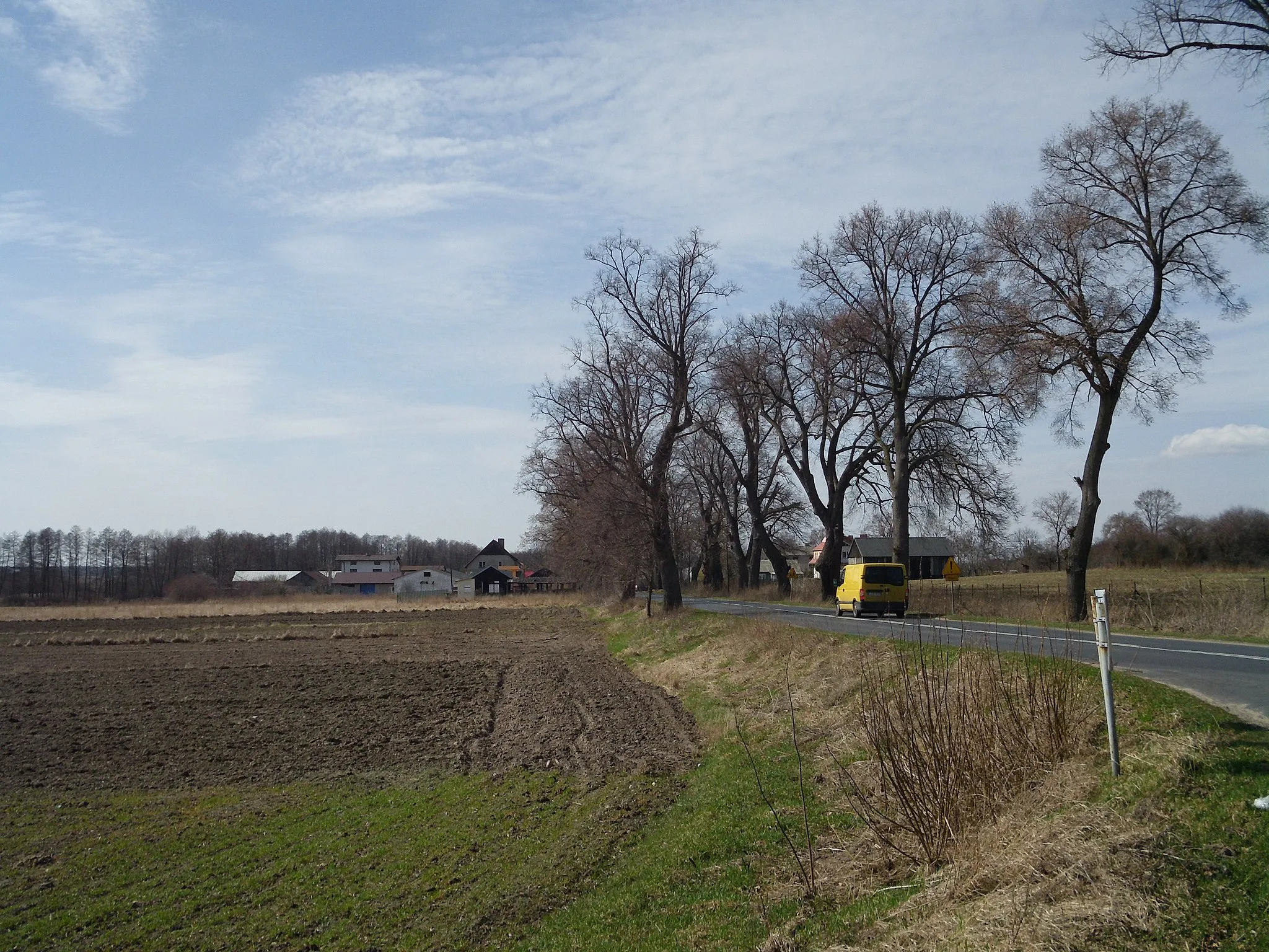 Photo showing: Siedliska village in Lubartów county, Poland, as seen from outside Kozłówka Palace.