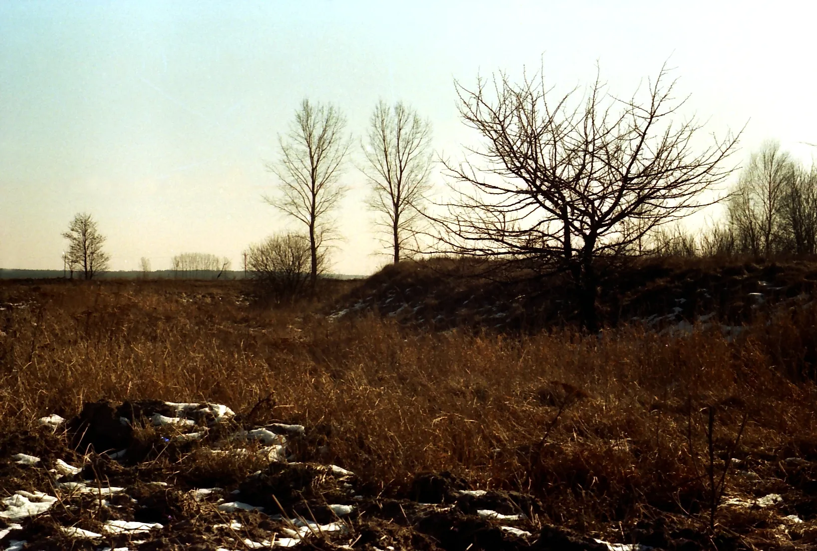 Photo showing: Zewnętrzne wały grodziska w roku 1993 (przed zniszczeniem).