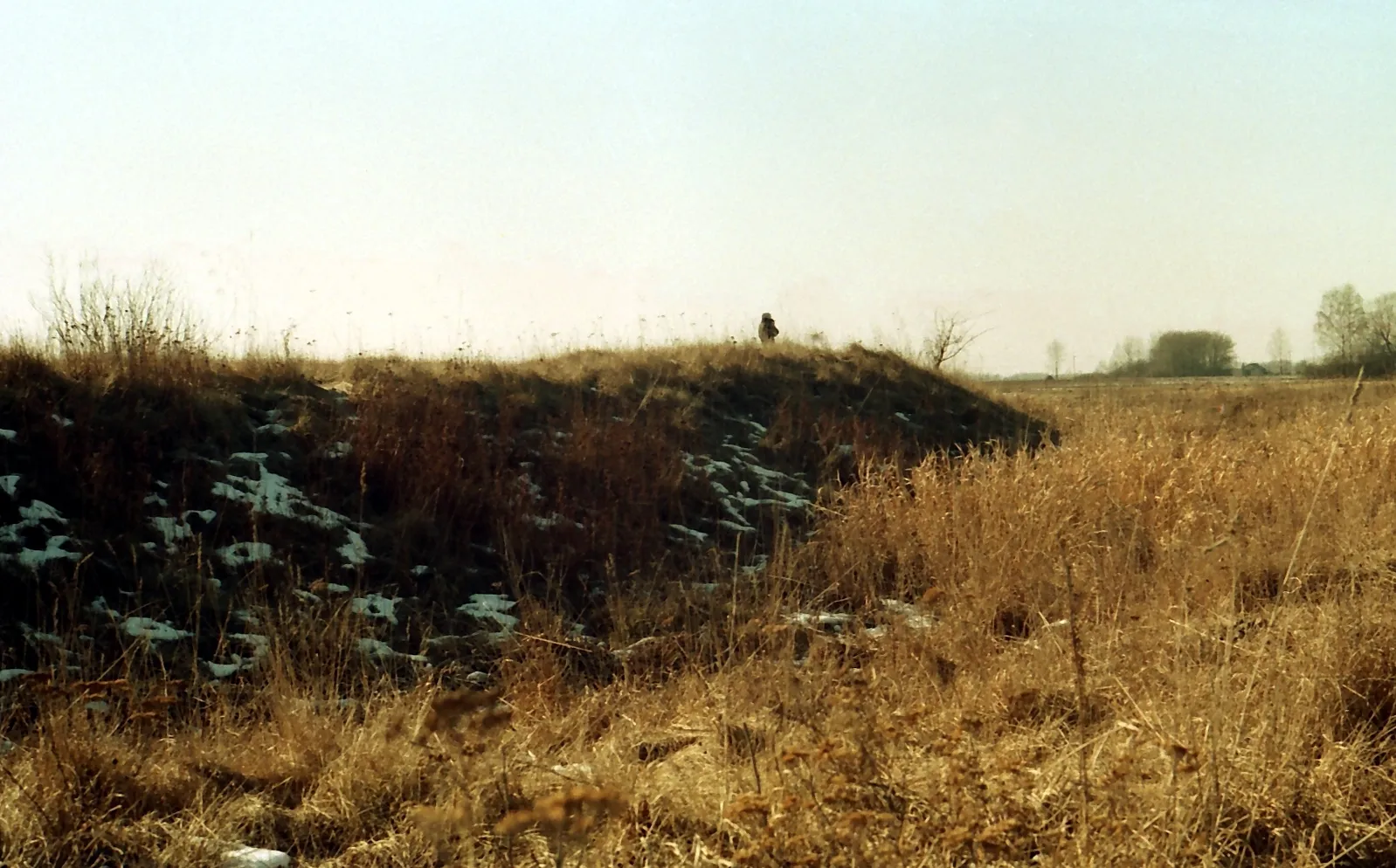 Photo showing: Zewnętrzne wały grodziska w roku 1993 (przed zniszczeniem).