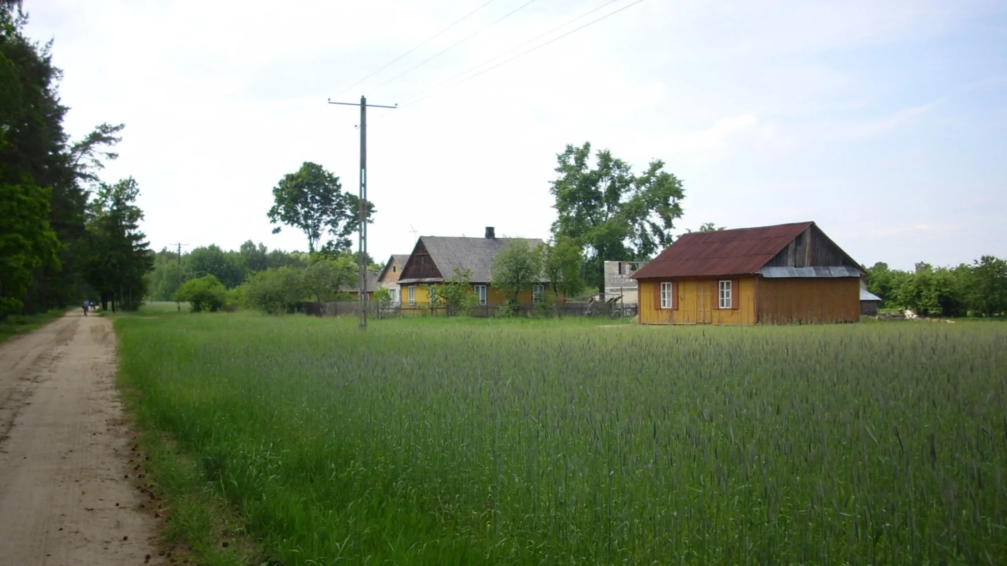 Photo showing: Kożuchówka (gm. Krzywda, pow. łukowski, woj. lubelskie, Polska). Drewniane domy.