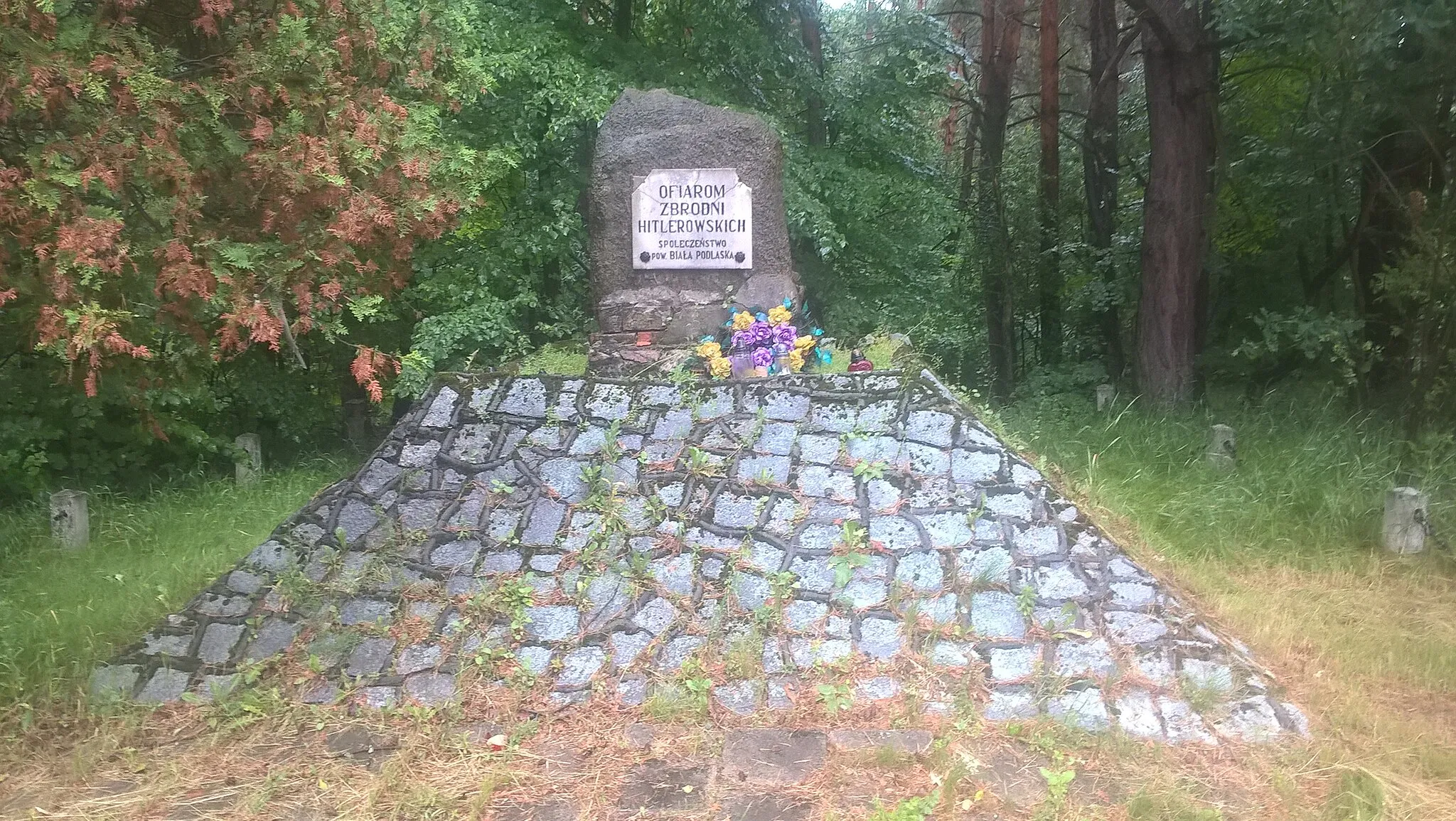 Photo showing: Pomnik ku czci cywilnych ofiar zbrodni hitlerowskich w Holi przy drodze do Terespola.