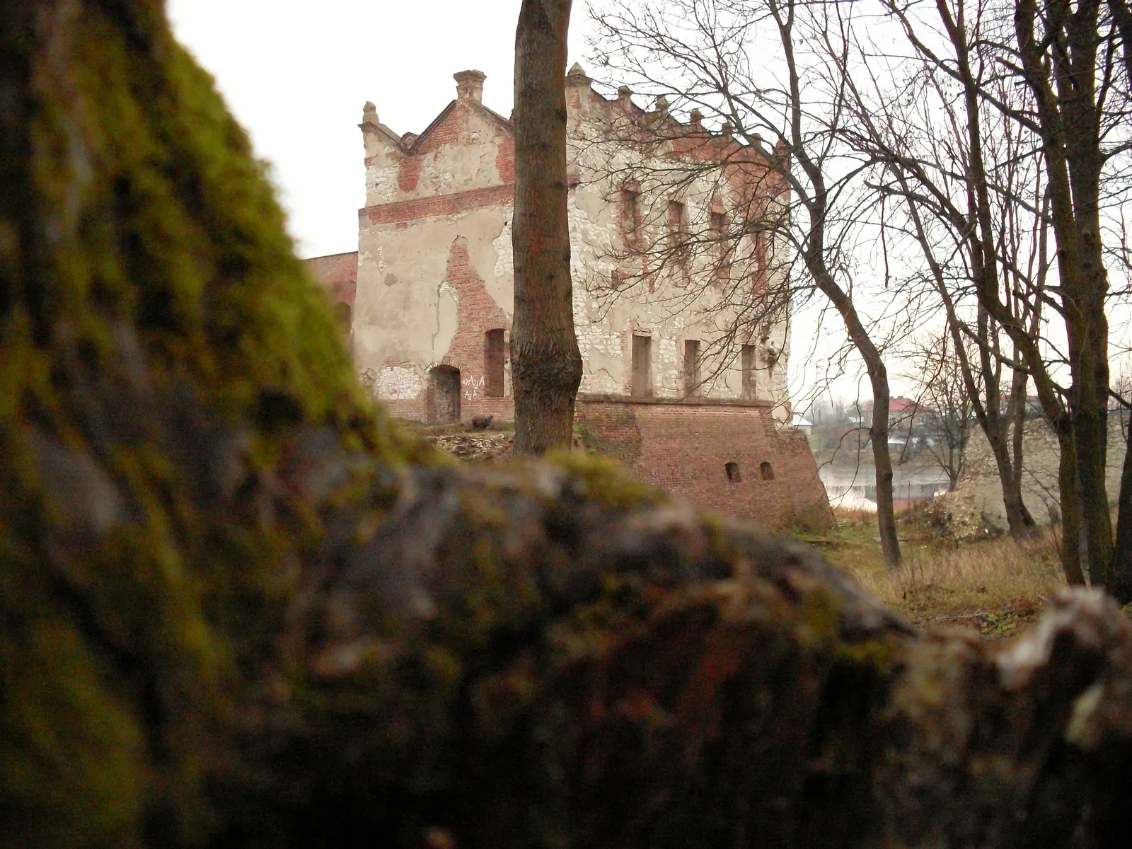 Photo showing: zespoł zamkowy Krupe