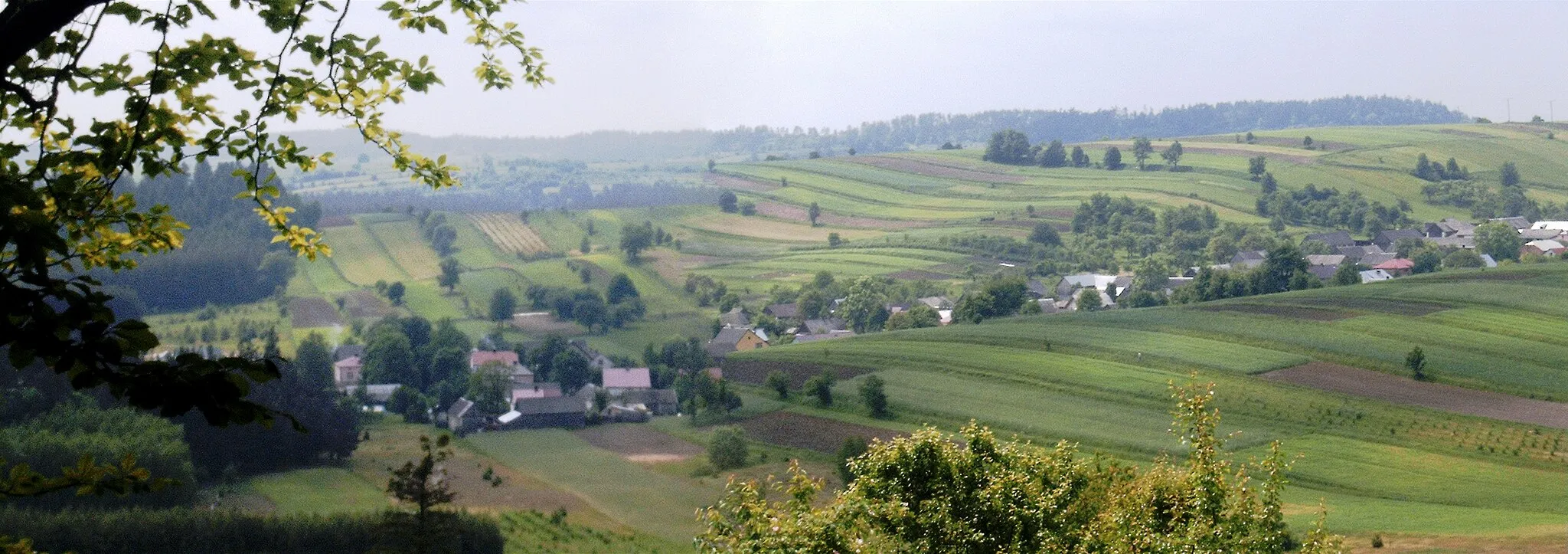 Photo showing: Bukowa Góra Roztocze