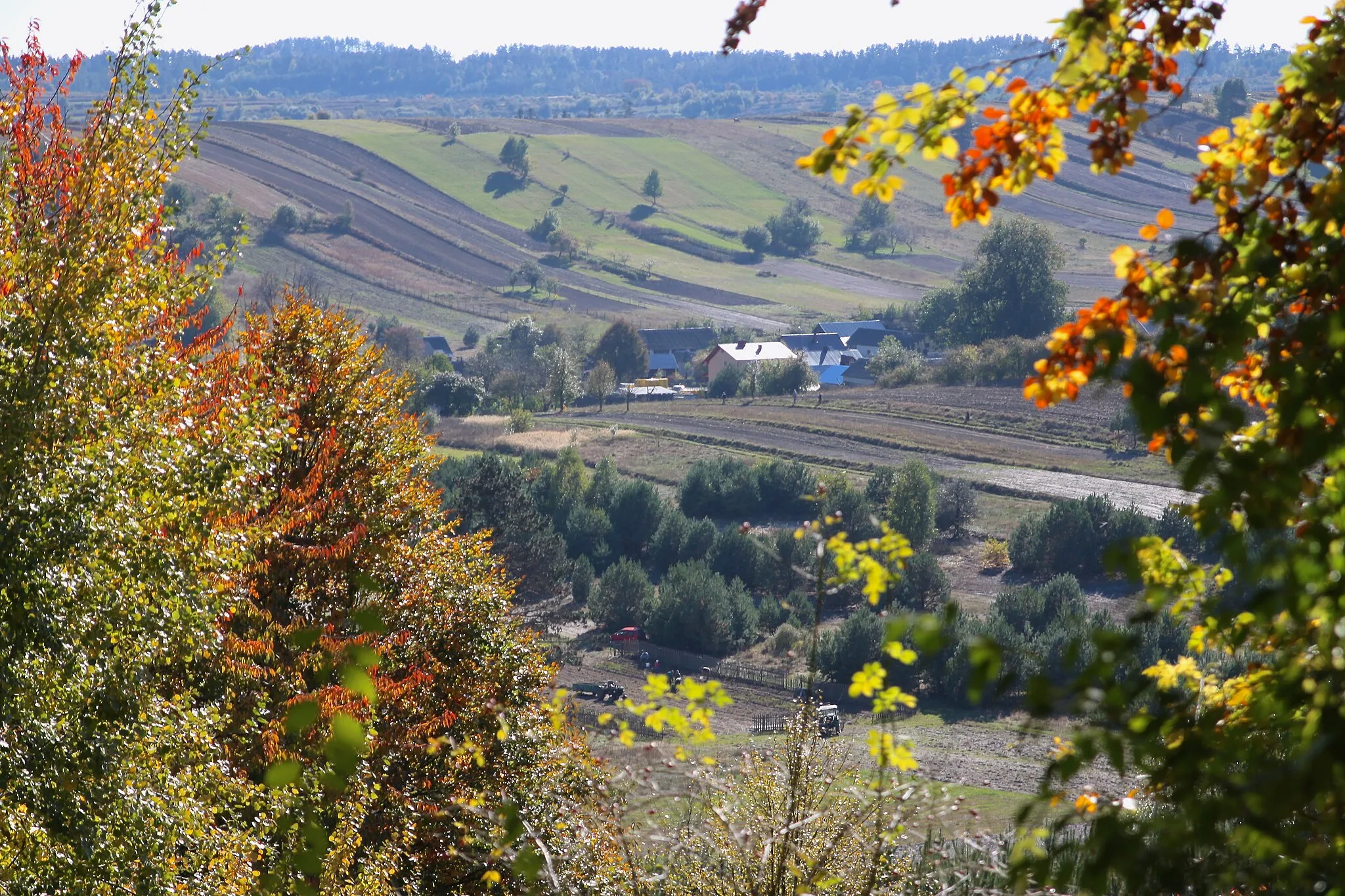 Photo showing: Jesień 2