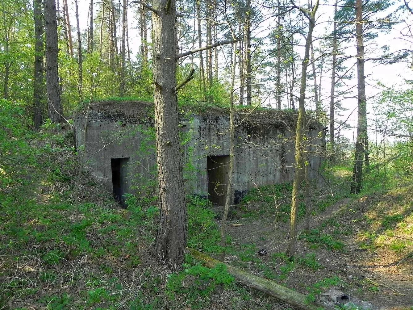 Photo showing: Bunkier Raworuskiego Rejonu Umocnionego tzw. „Linii Mołotowa” - punkt oporu wzgórze Hrebcianka.