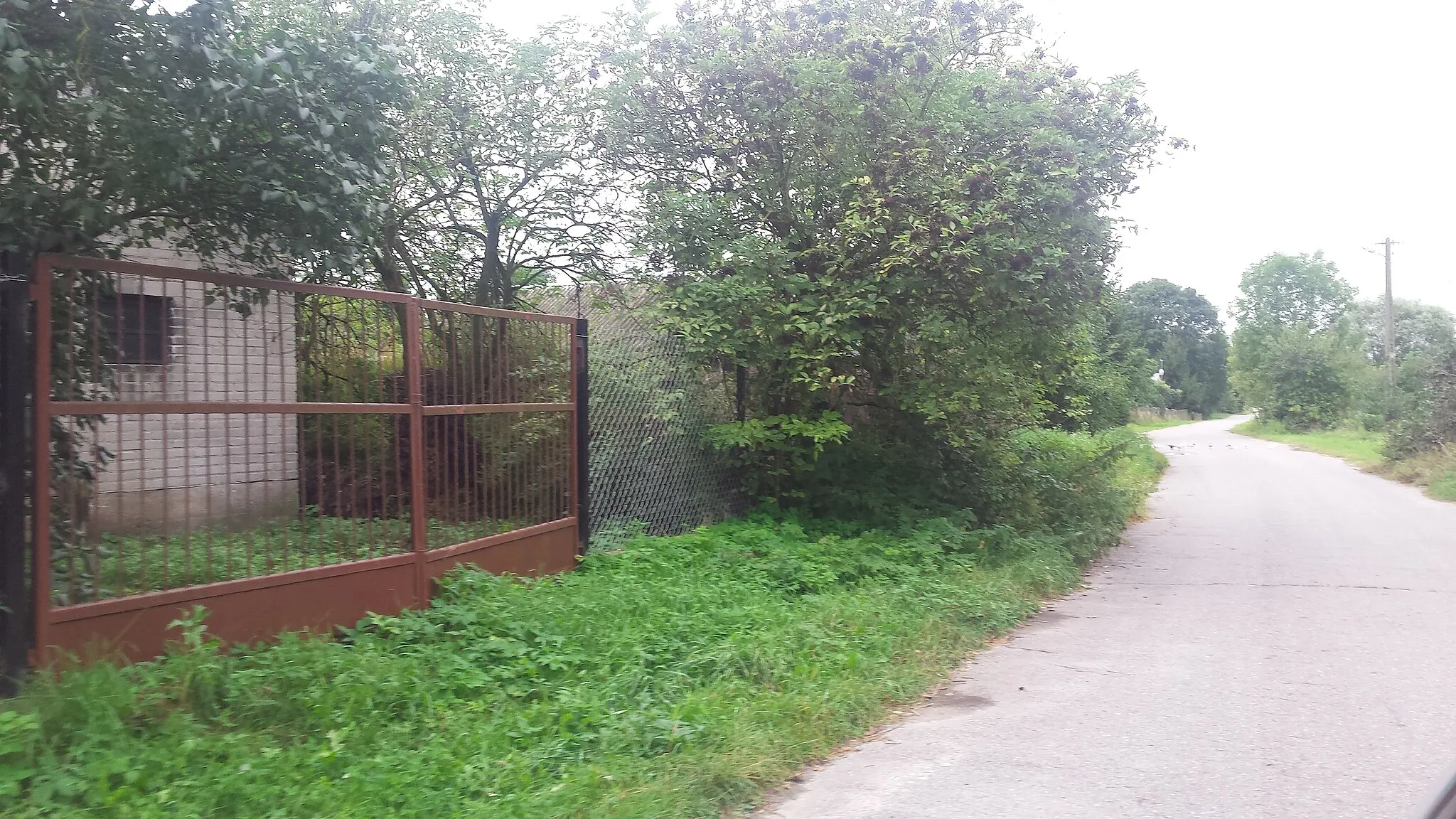 Photo showing: The picture shows a street in Olszyn, a very small Polish village in the east side of Poland. Taken by holocaust survivor grandchild, who his grandfather was born there by the name of Israel Levin.