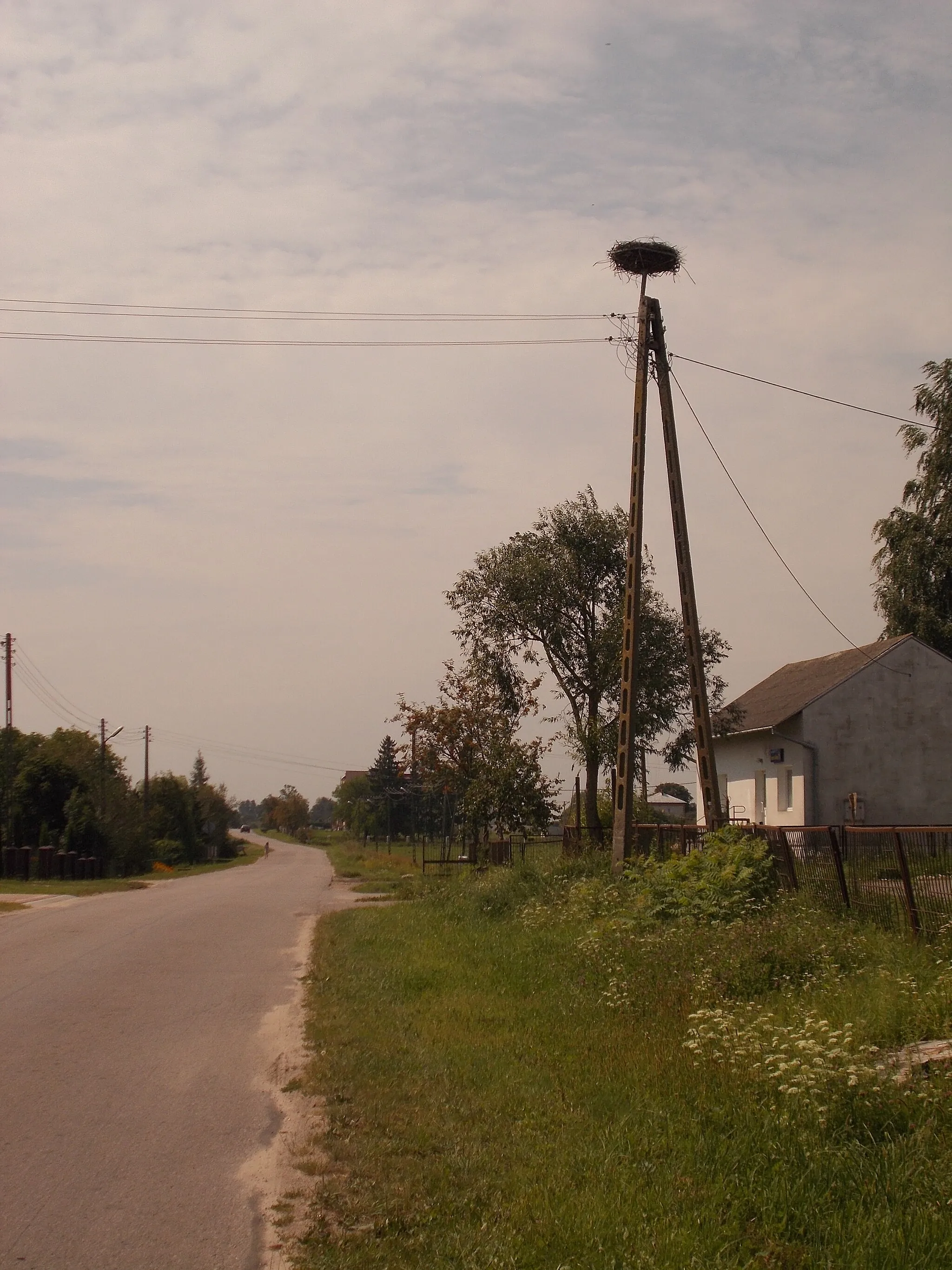 Photo showing: Bocianie gniazdo w miejscowości Zamch 01