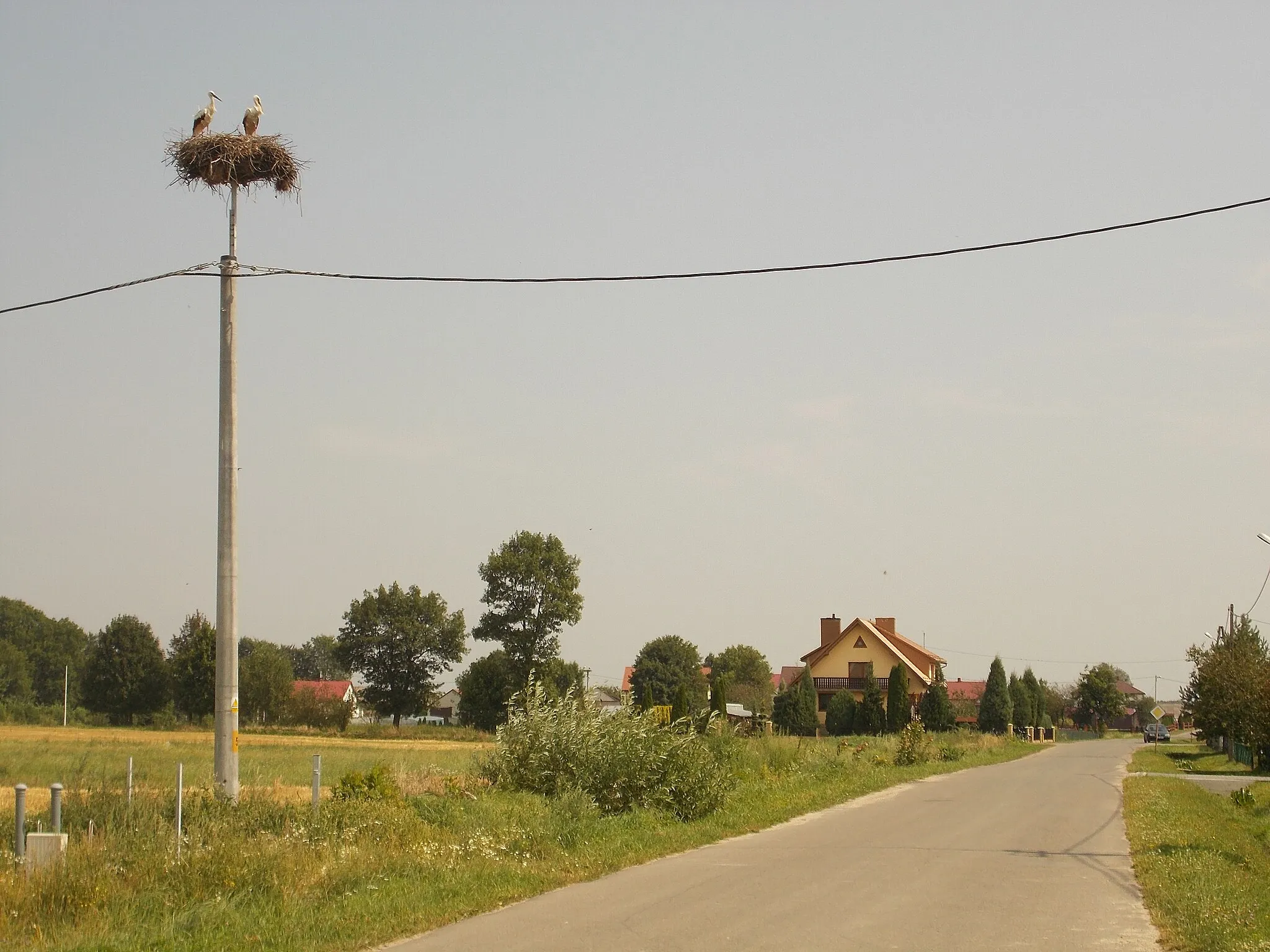 Photo showing: Bocianie gniazdo w miejscowości Zamch 01