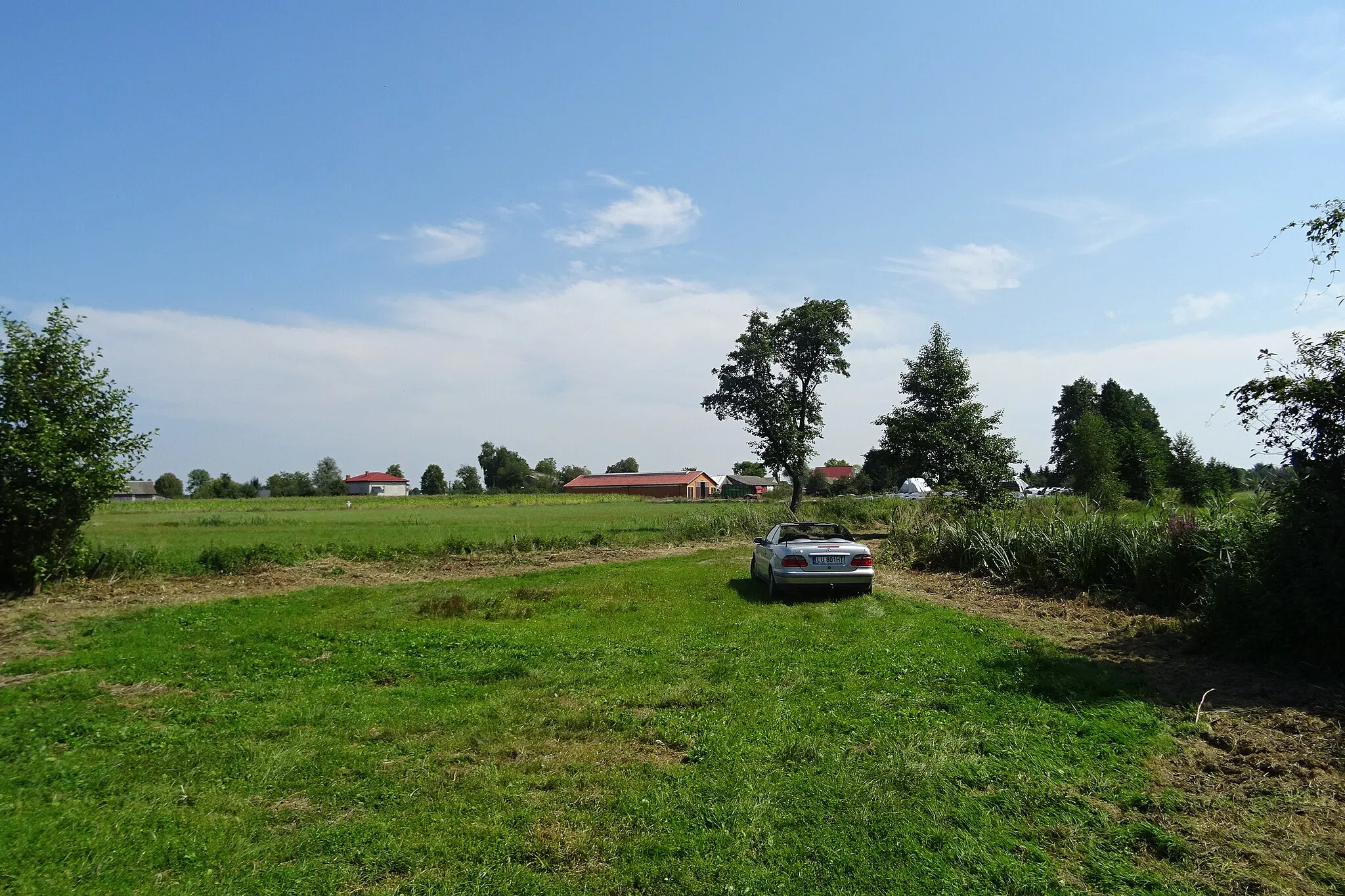 Photo showing: Osada Wiązowiec, wieś Michałów, gmina Urszulin