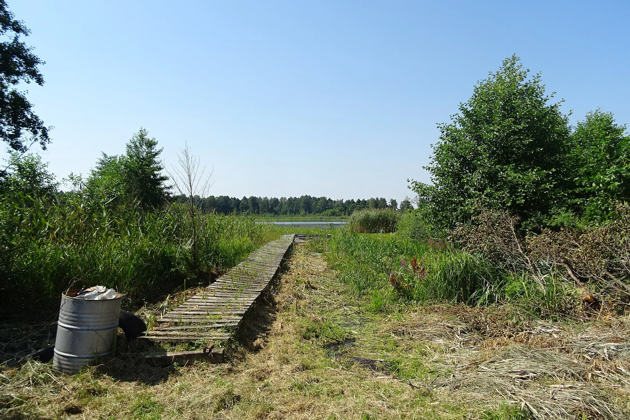 Photo showing: Jezioro Płotycze (Wiązowiec), kolonia Wiązowiec, wieś Michałów, gmina Urszulin, województwo lubelskie, Polska