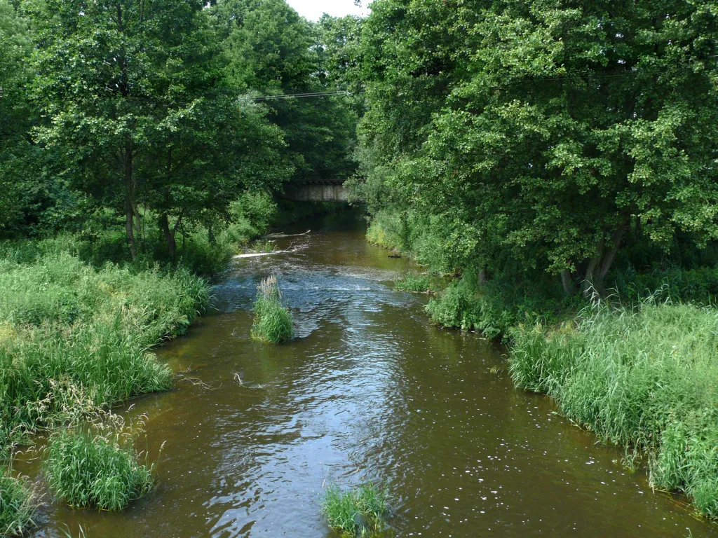 Photo showing: Chodelka river in Wola Rudzka