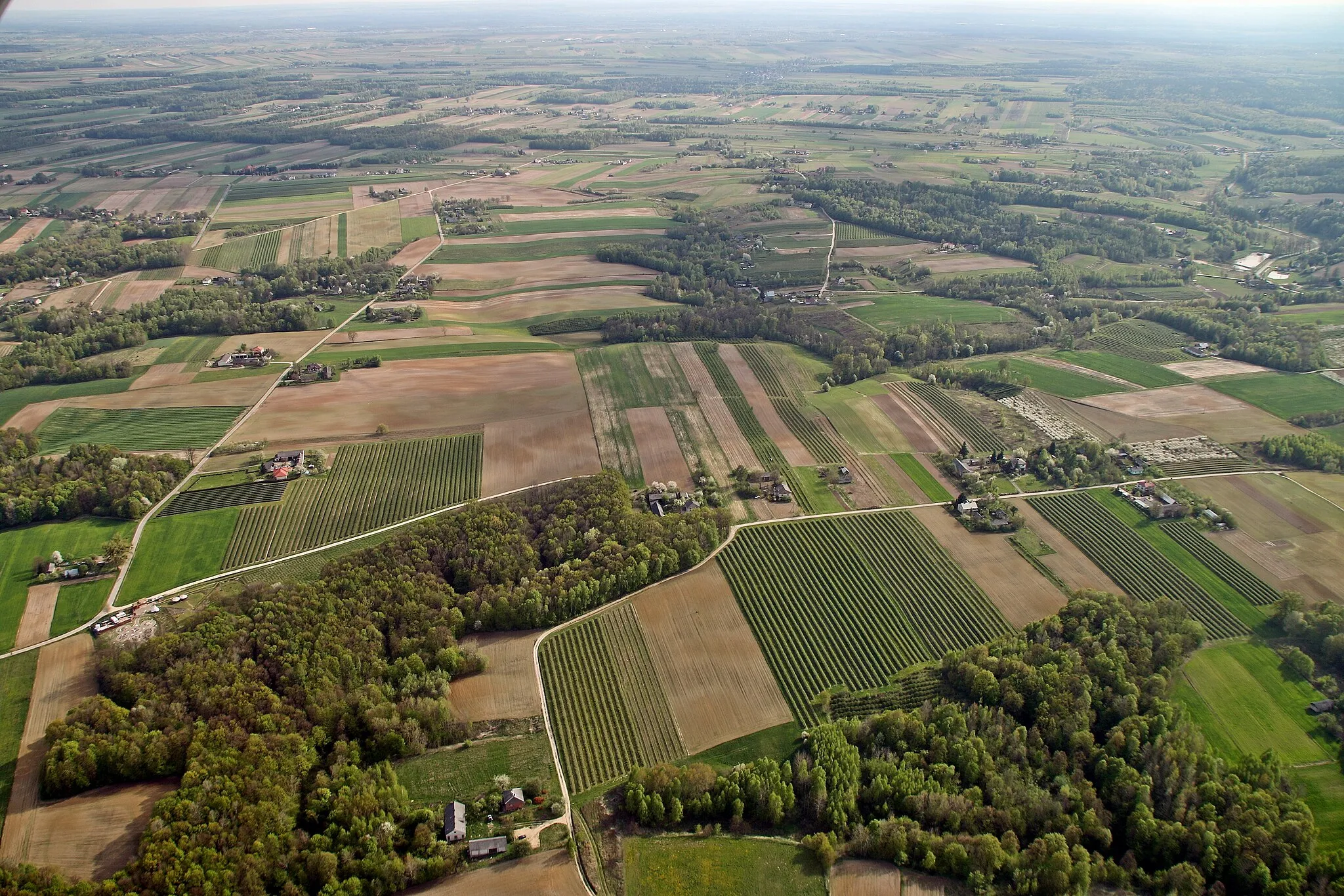 Photo showing: Park krajobrazowy Kazimierski Park Krajobrazowy.