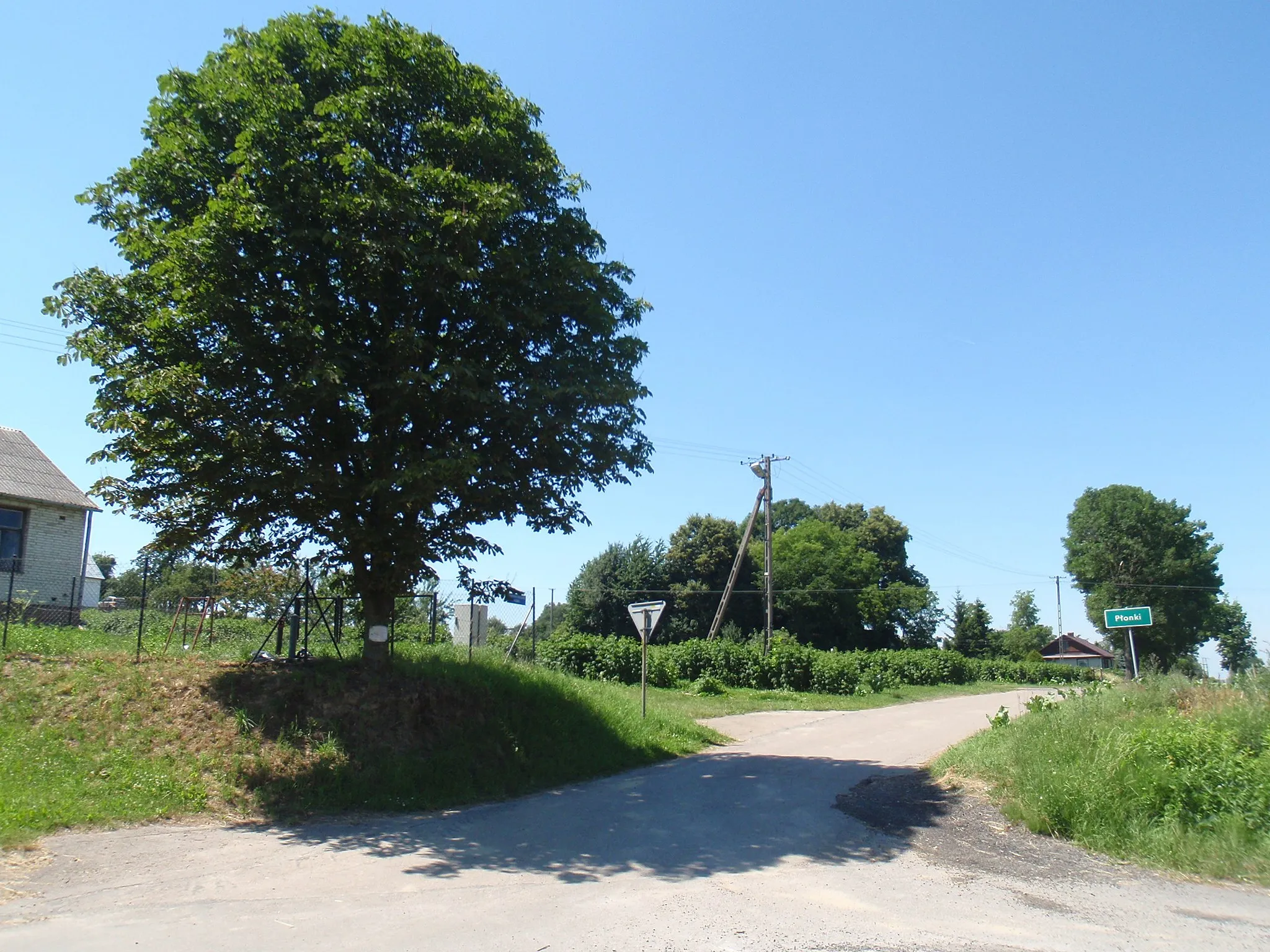 Photo showing: Góry Olesińskie - part of Płonki village in Kurów