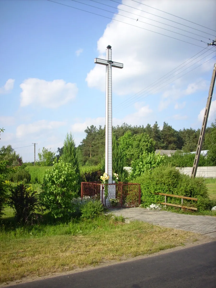 Photo showing: Krzyż przydrożny we wsi Fiukówka przy drodze do Starego Patoka.