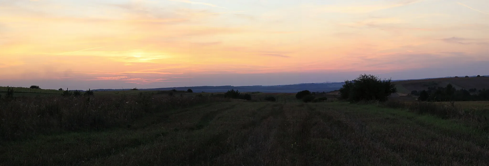 Photo showing: Roztocze Środkowe- wierzchowina