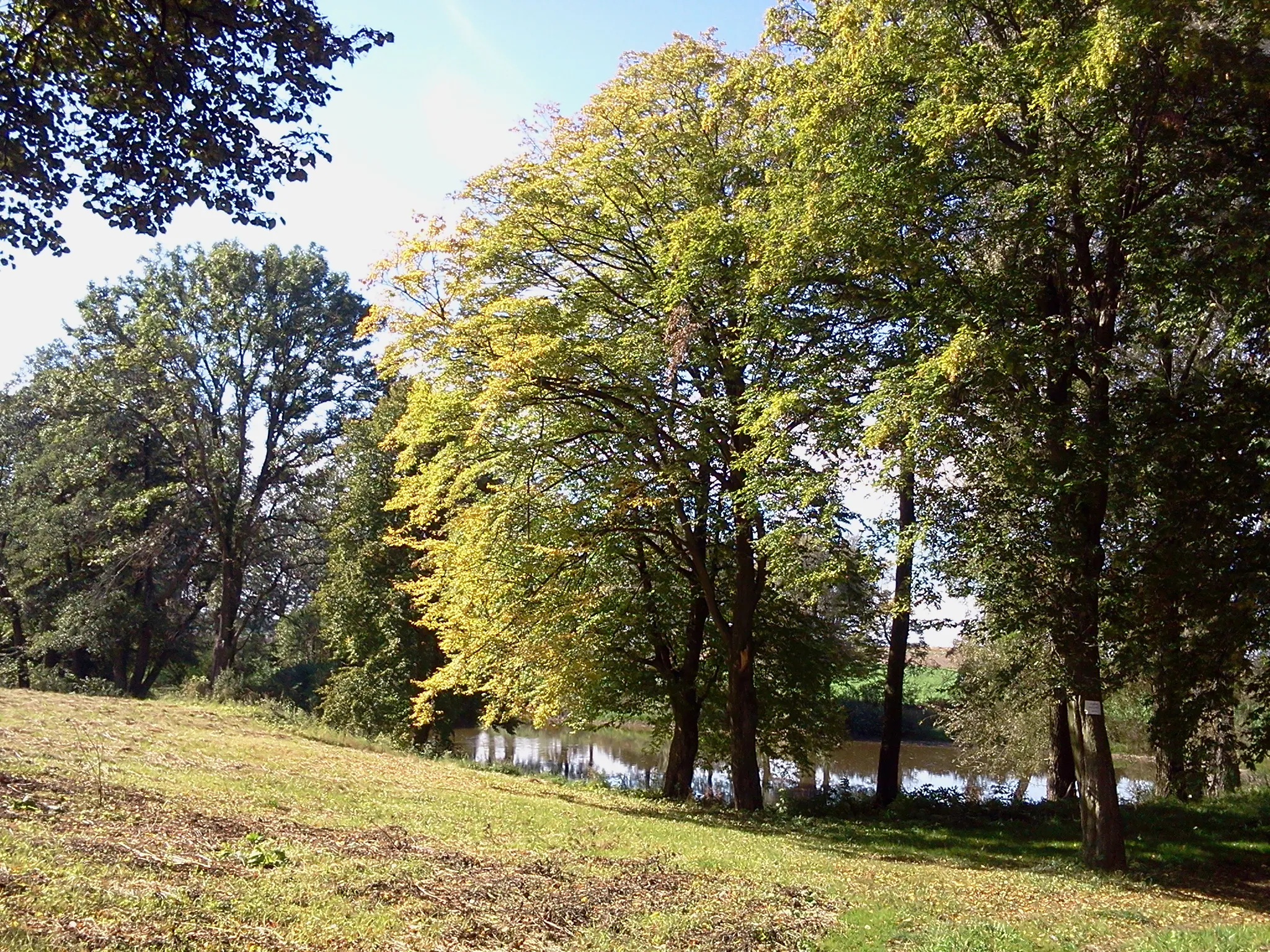 Photo showing: Świdniki - park dworski, pocz. XX w.