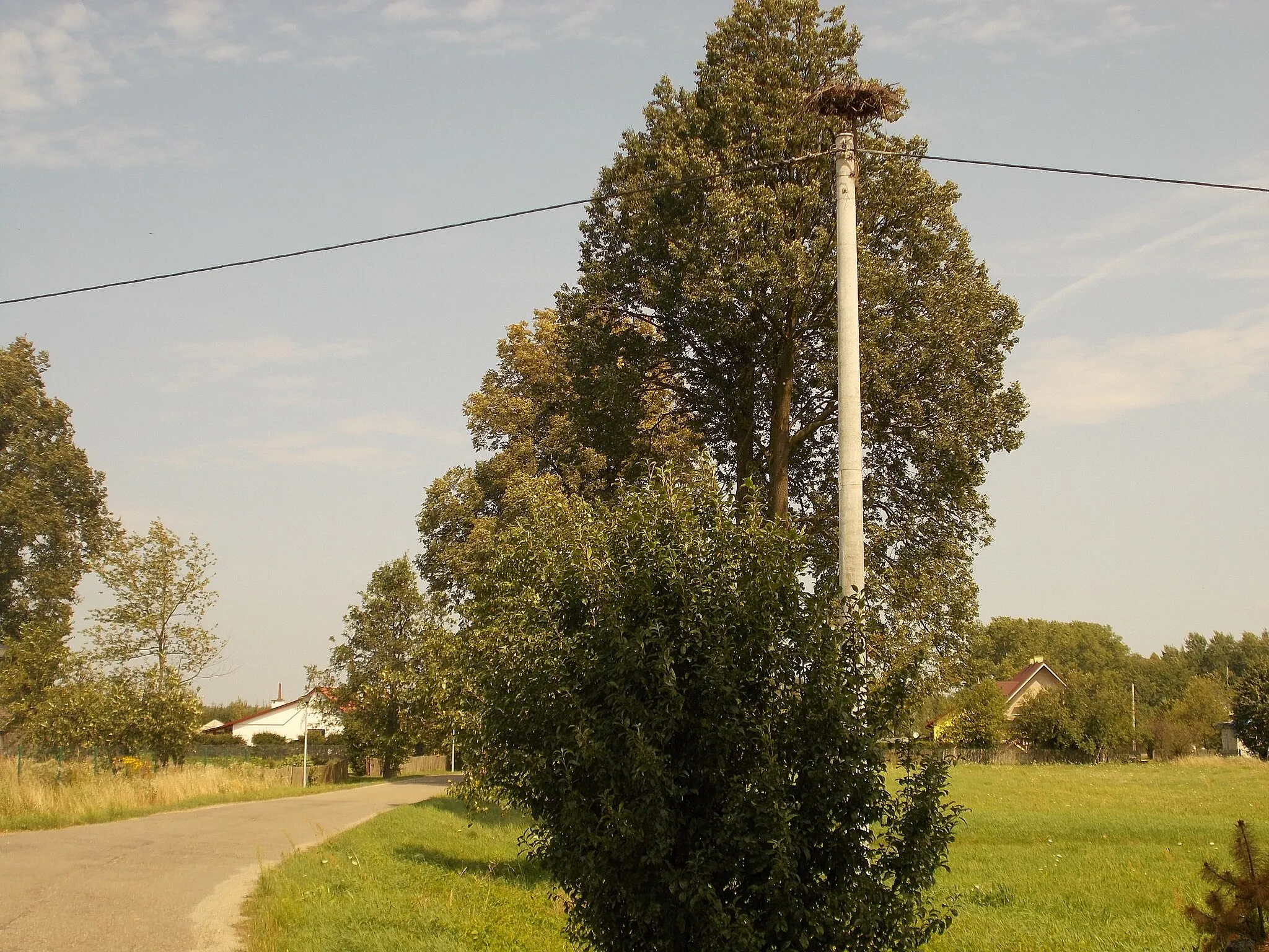 Photo showing: Bocianie gniazdo w miejscowości Surmaczówka