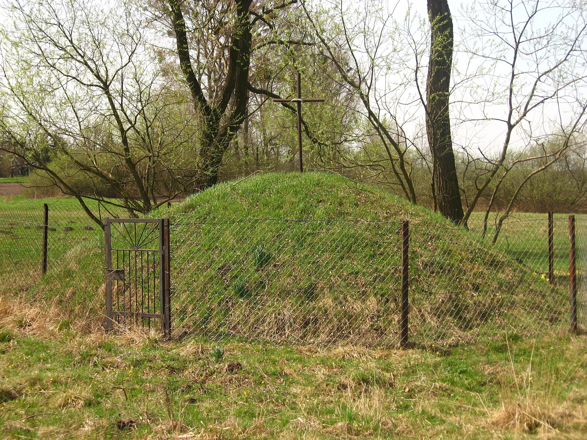 Photo showing: Obrowiec - mogiła z okresu I WŚ