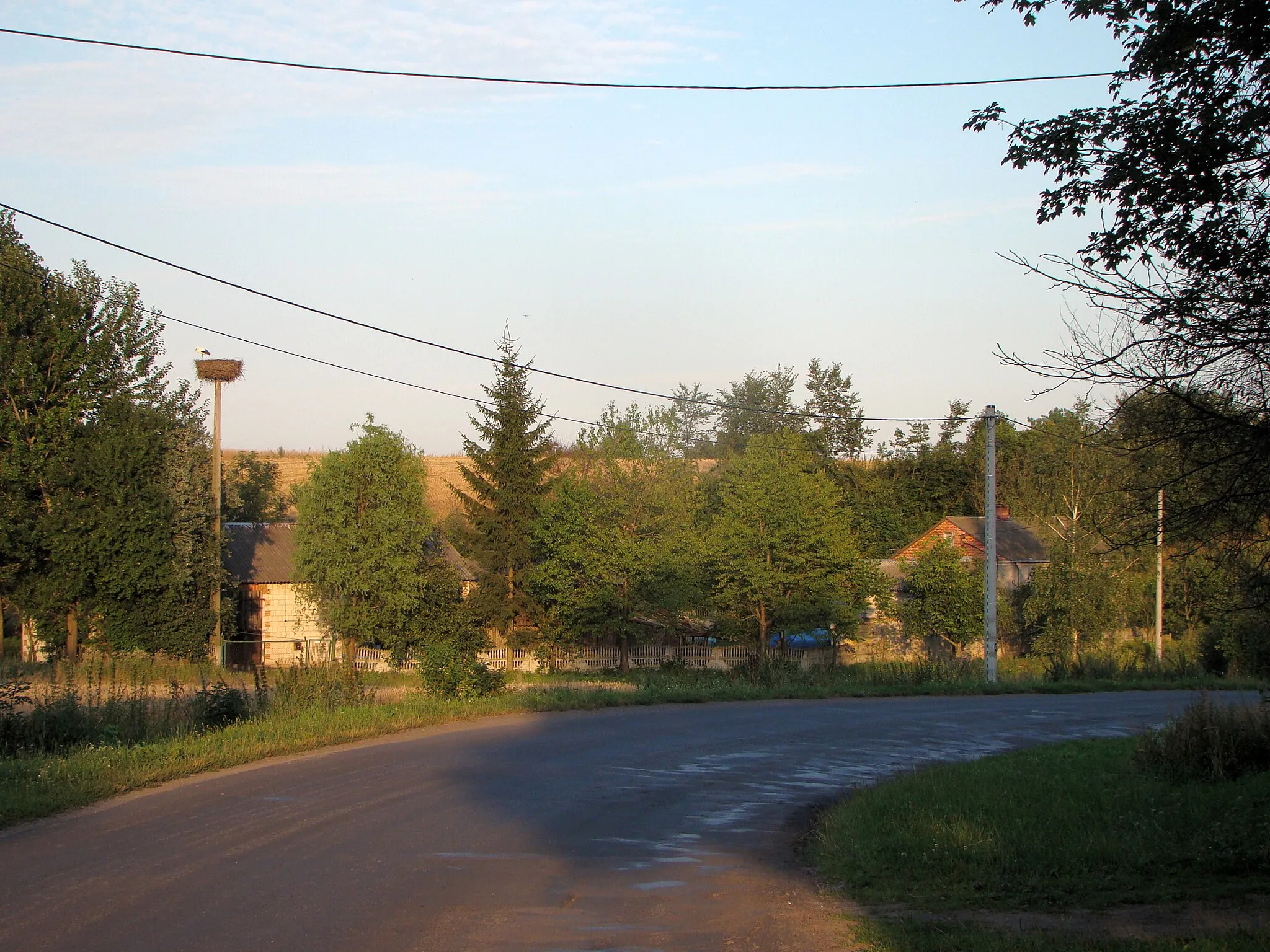 Photo showing: Čapí hnízdo ve vesnici Obrowiec, Polsko