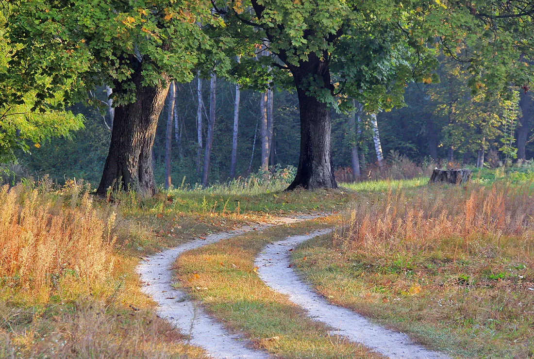 Photo showing: Під дубами