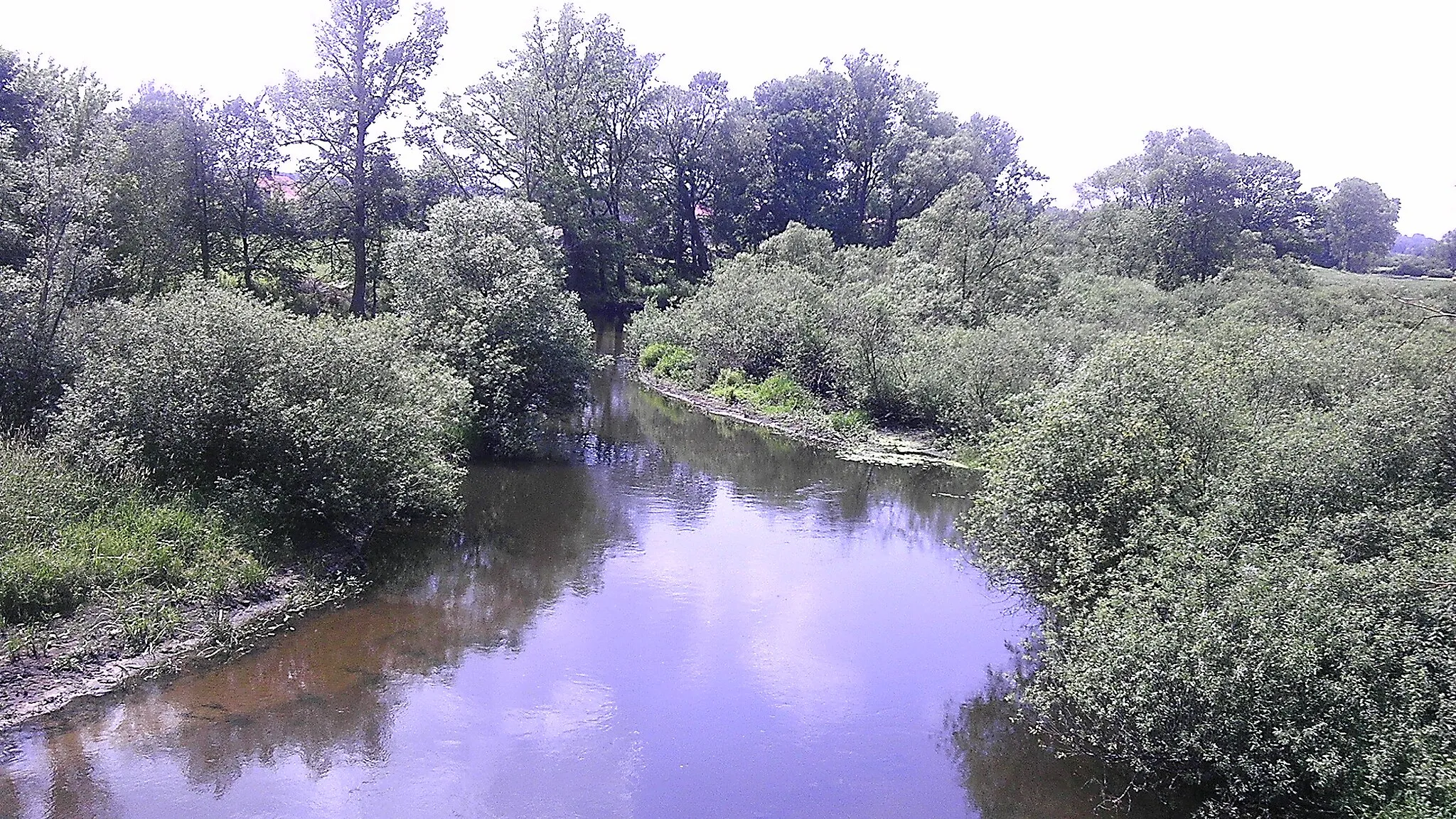 Photo showing: Krzna w Neplach- widok  z mostu